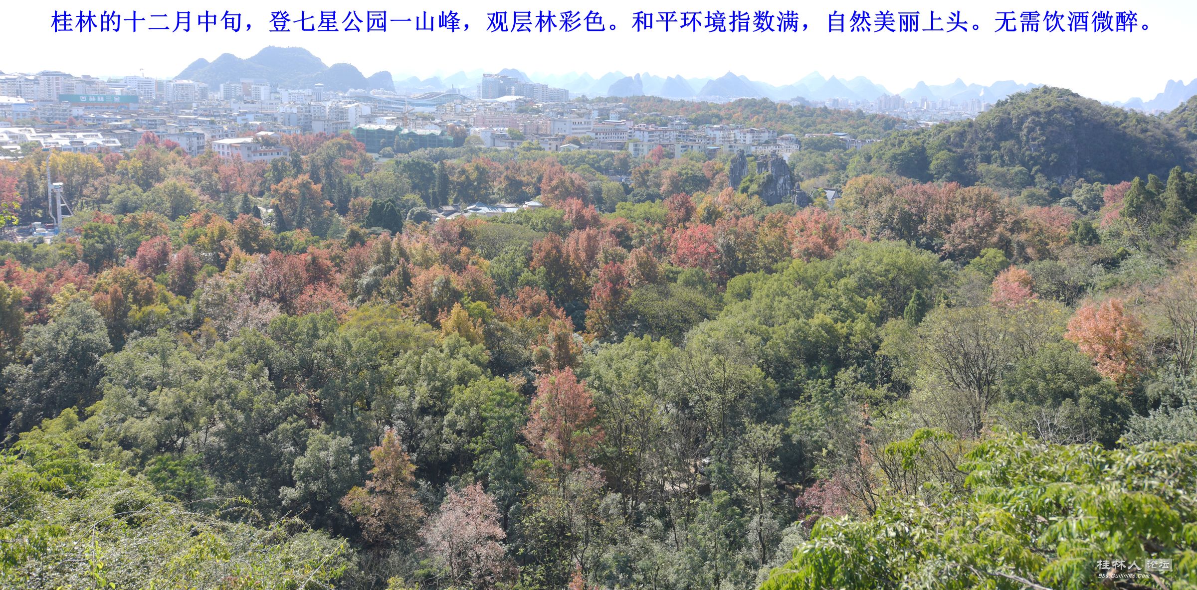 D15十二 074_副本_副本.jpg