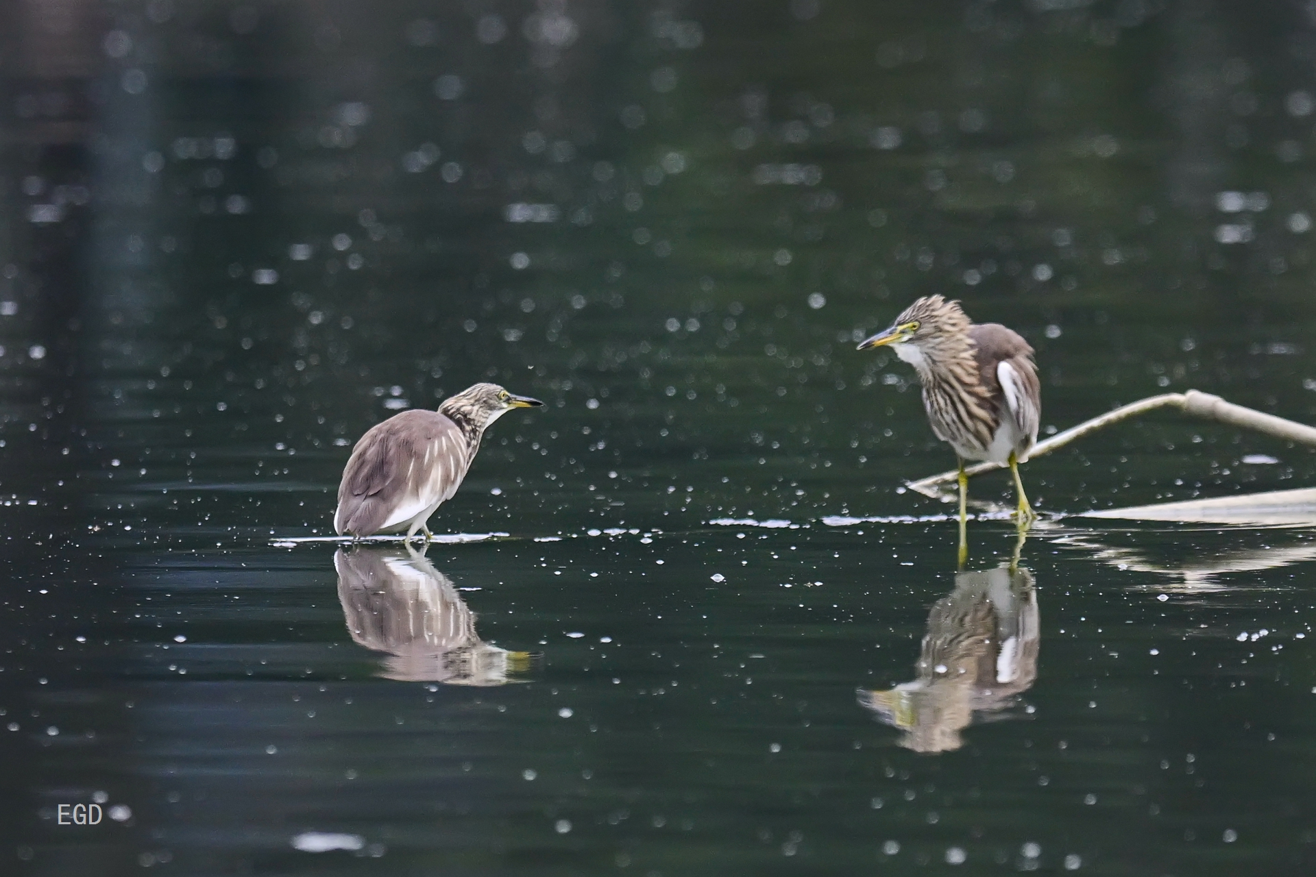 你瞅啥瞅你咋地 (1).jpg