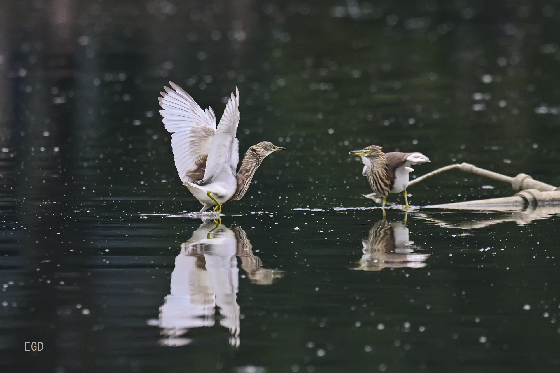 你瞅啥瞅你咋地 (2).jpg