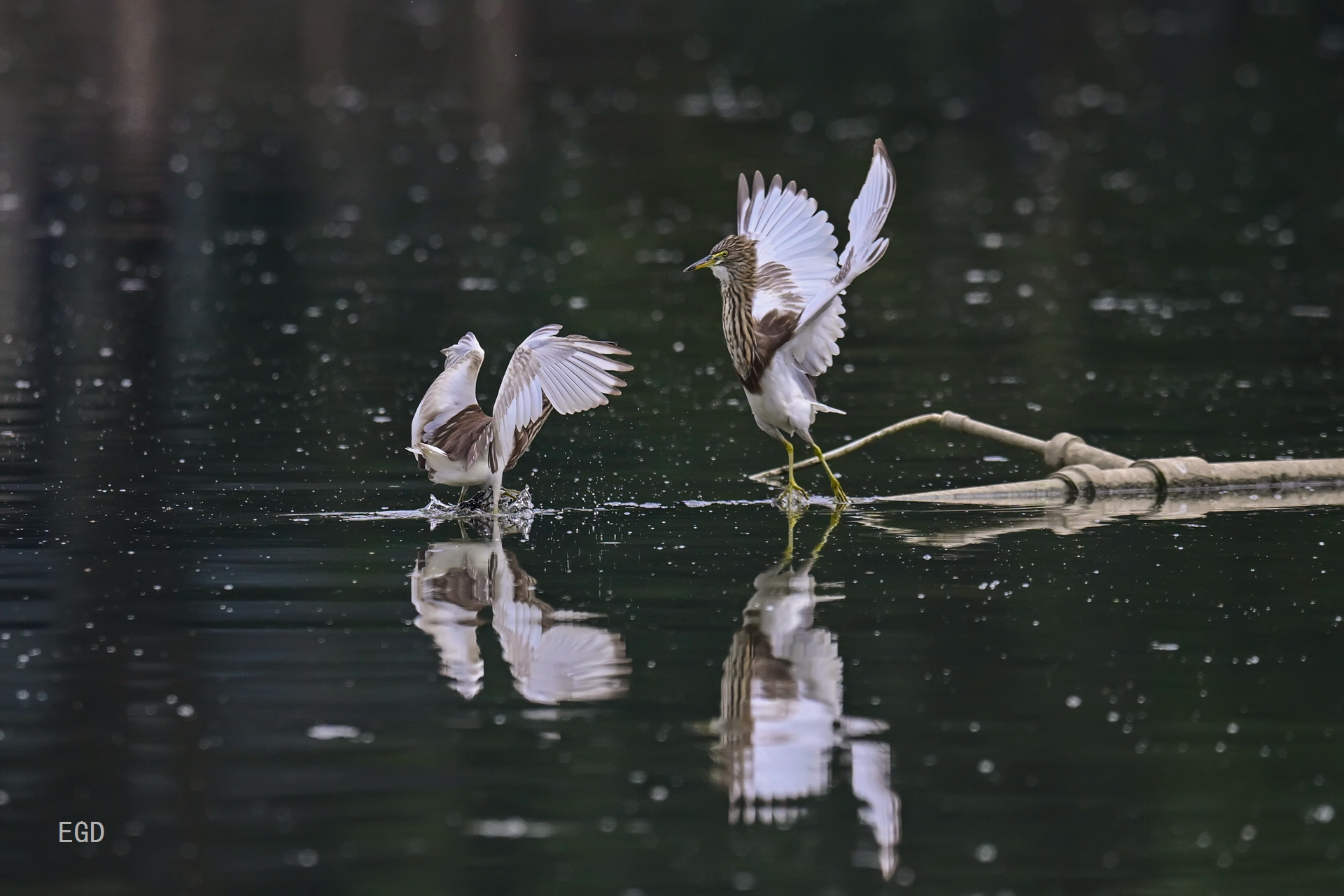 你瞅啥瞅你咋地 (3).jpg