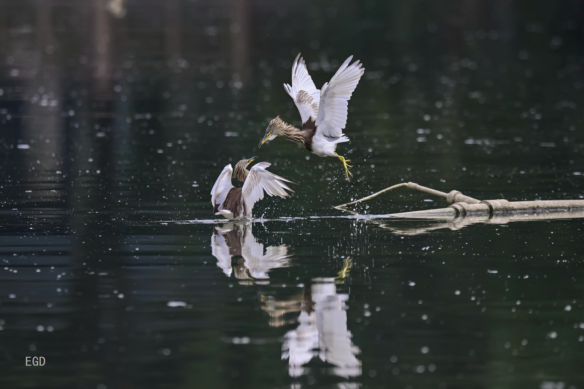 你瞅啥瞅你咋地 (4).jpg