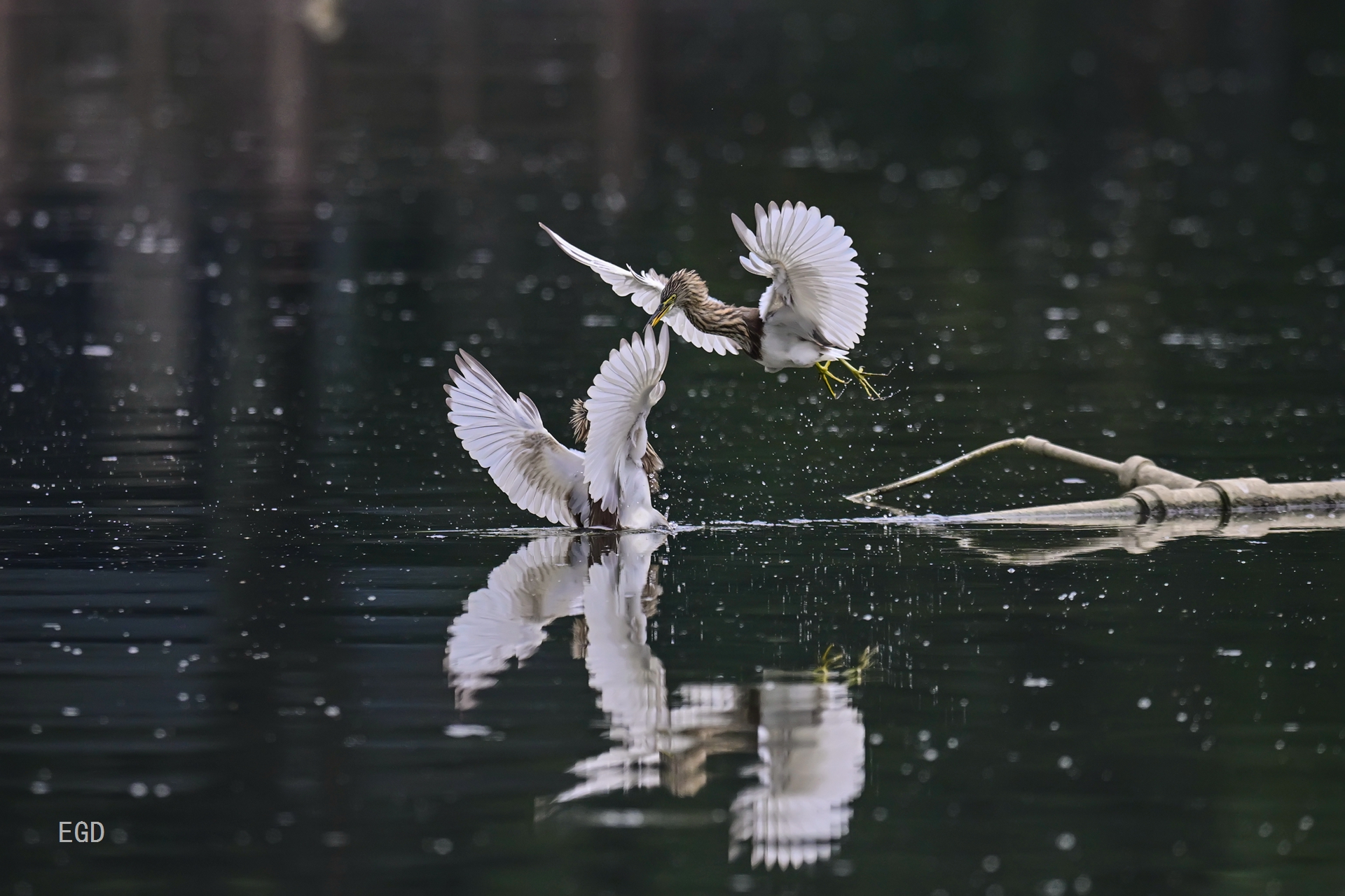 你瞅啥瞅你咋地 (5).jpg