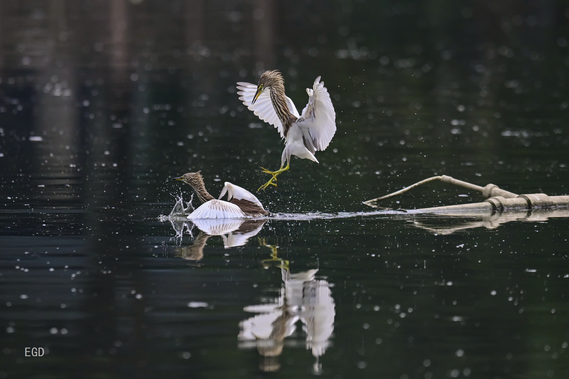 你瞅啥瞅你咋地 (7).jpg
