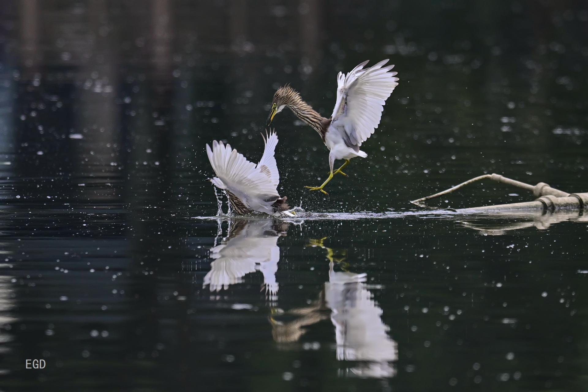 你瞅啥瞅你咋地 (8).jpg