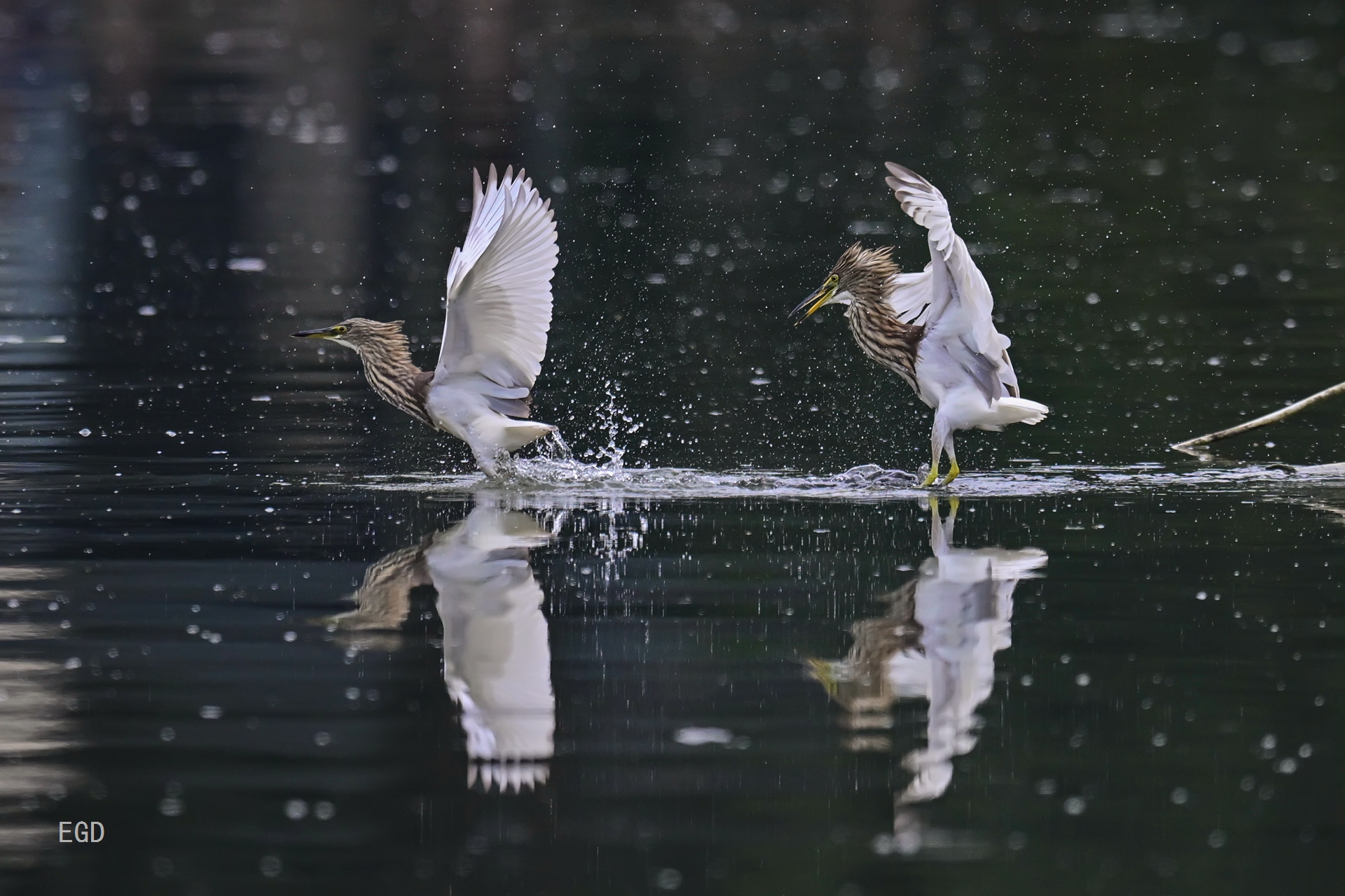 你瞅啥瞅你咋地 (10).jpg