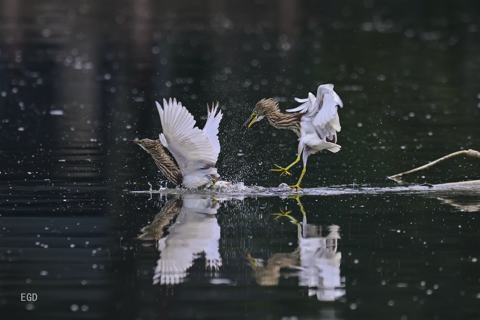 你瞅啥瞅你咋地 (9).jpg
