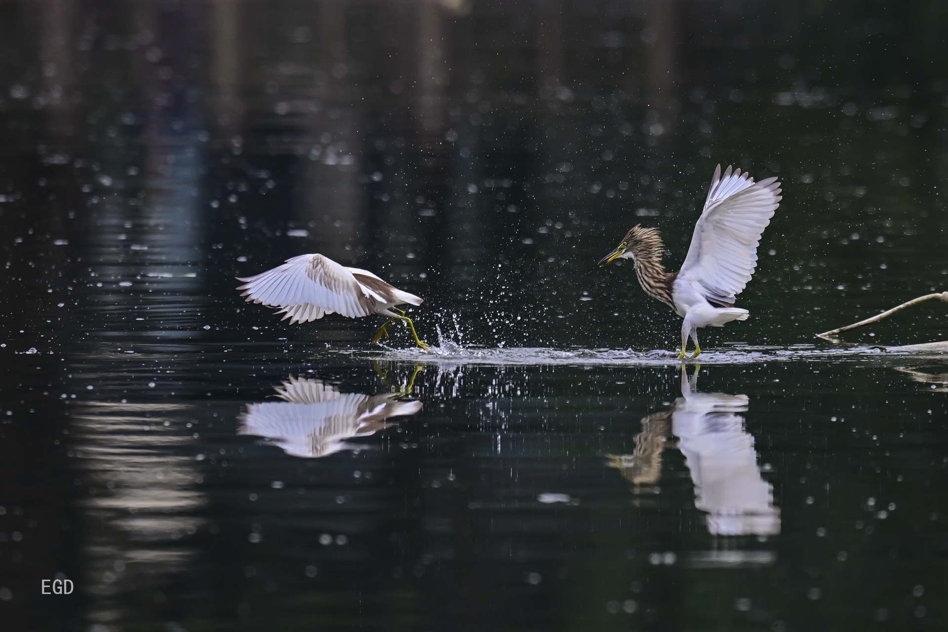 你瞅啥瞅你咋地 (11).jpg