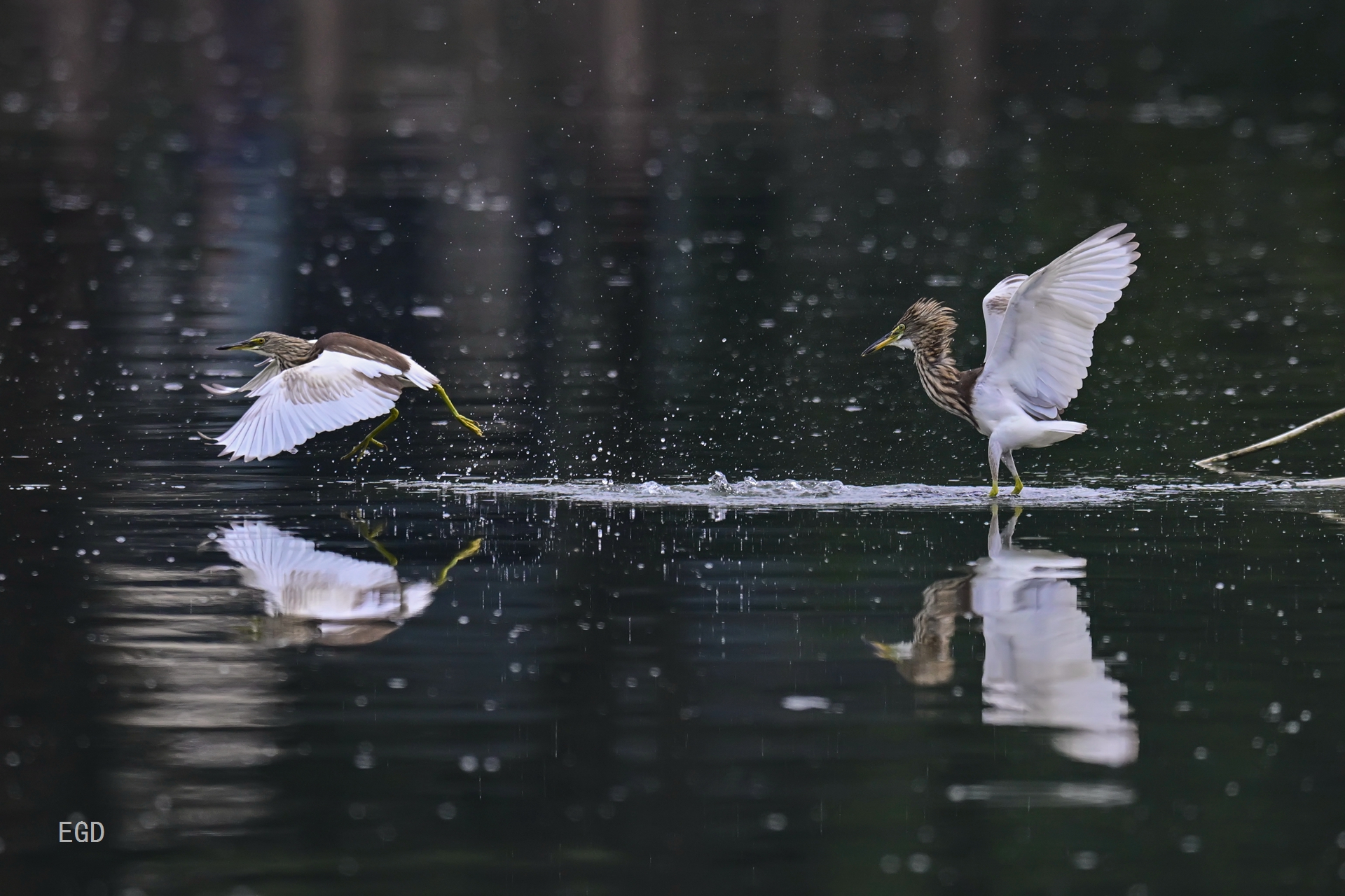 你瞅啥瞅你咋地 (12).jpg