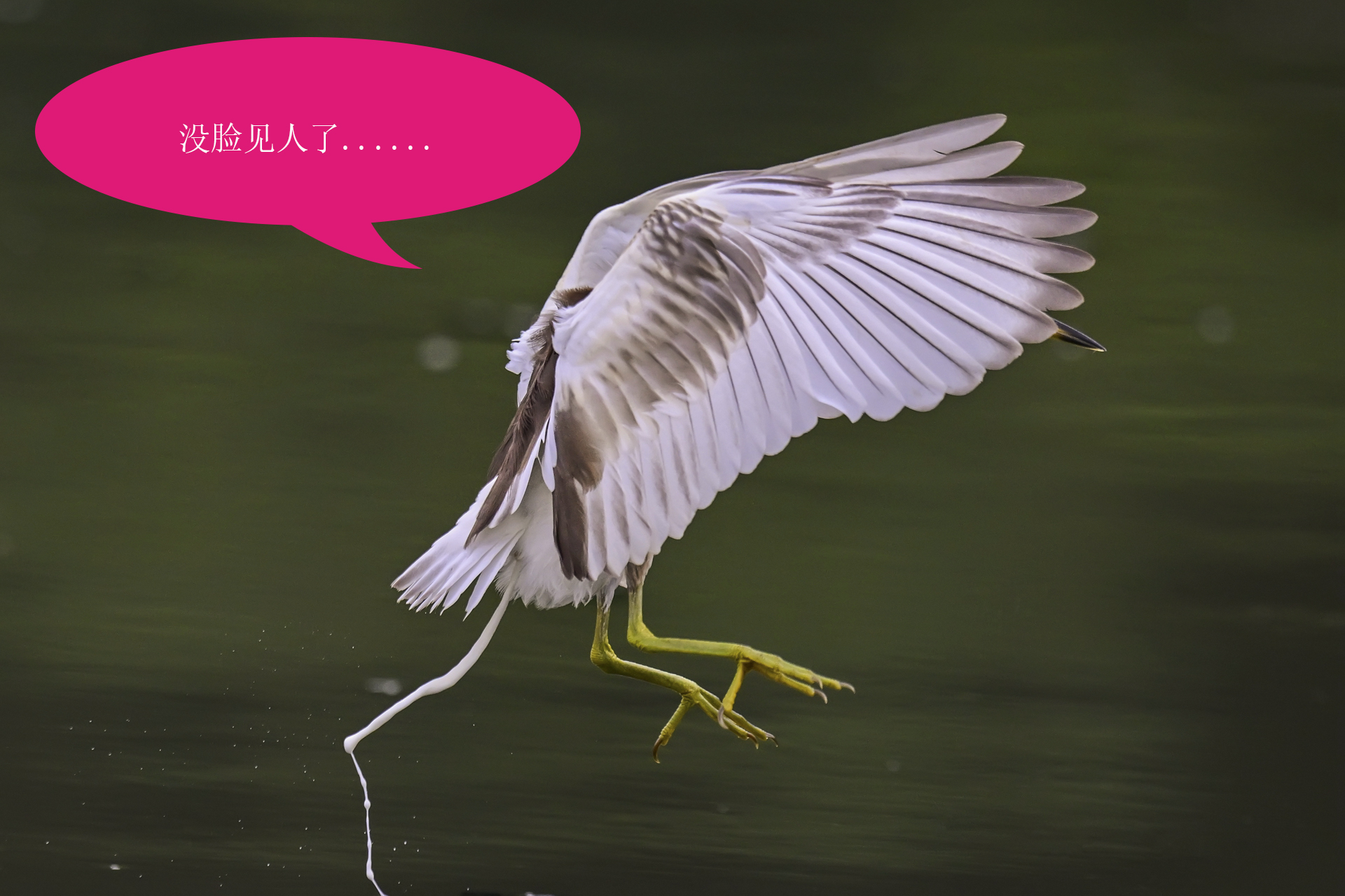 唉呀妈呀快闪开急急急 (3).jpg