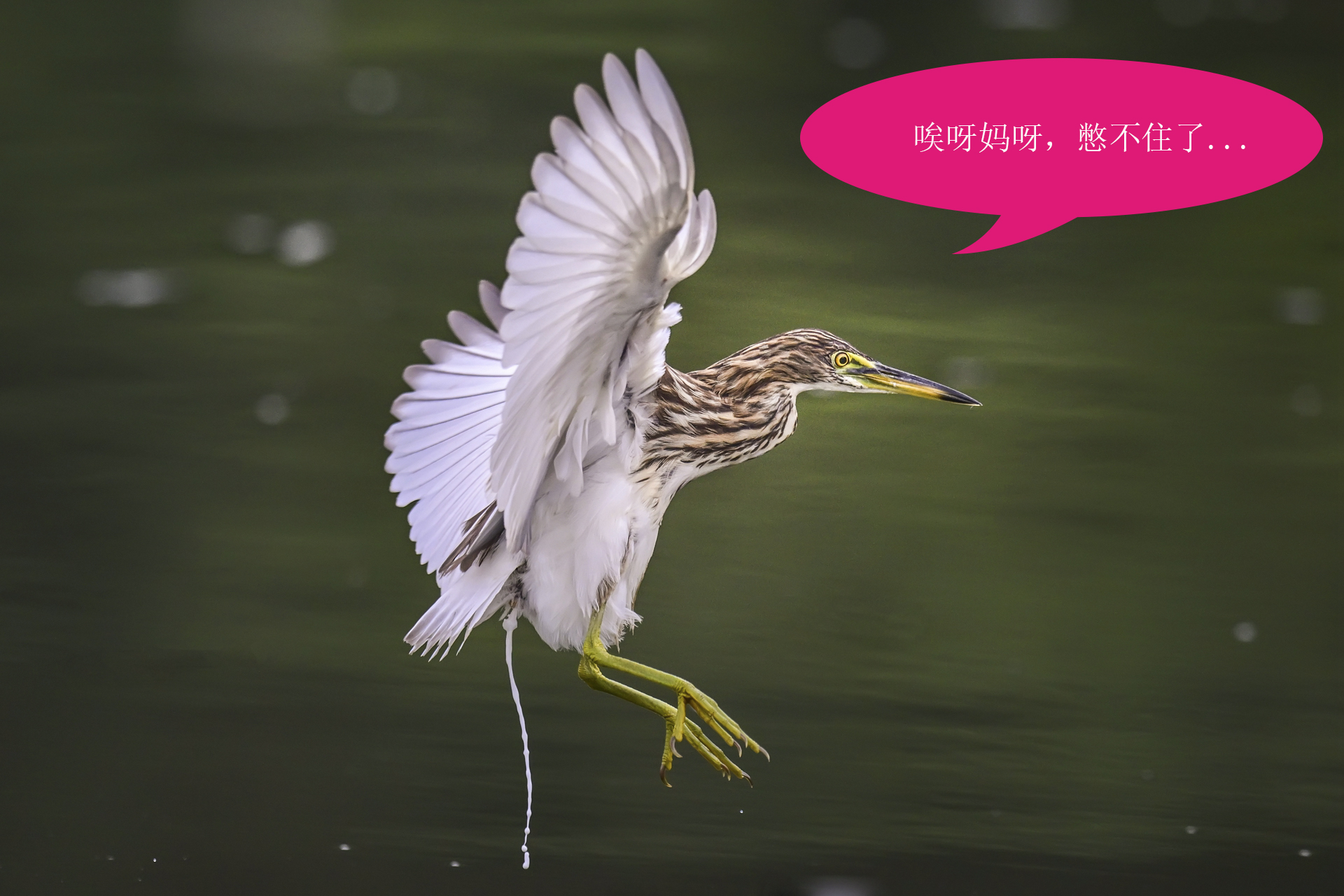 唉呀妈呀快闪开急急急 (2).jpg