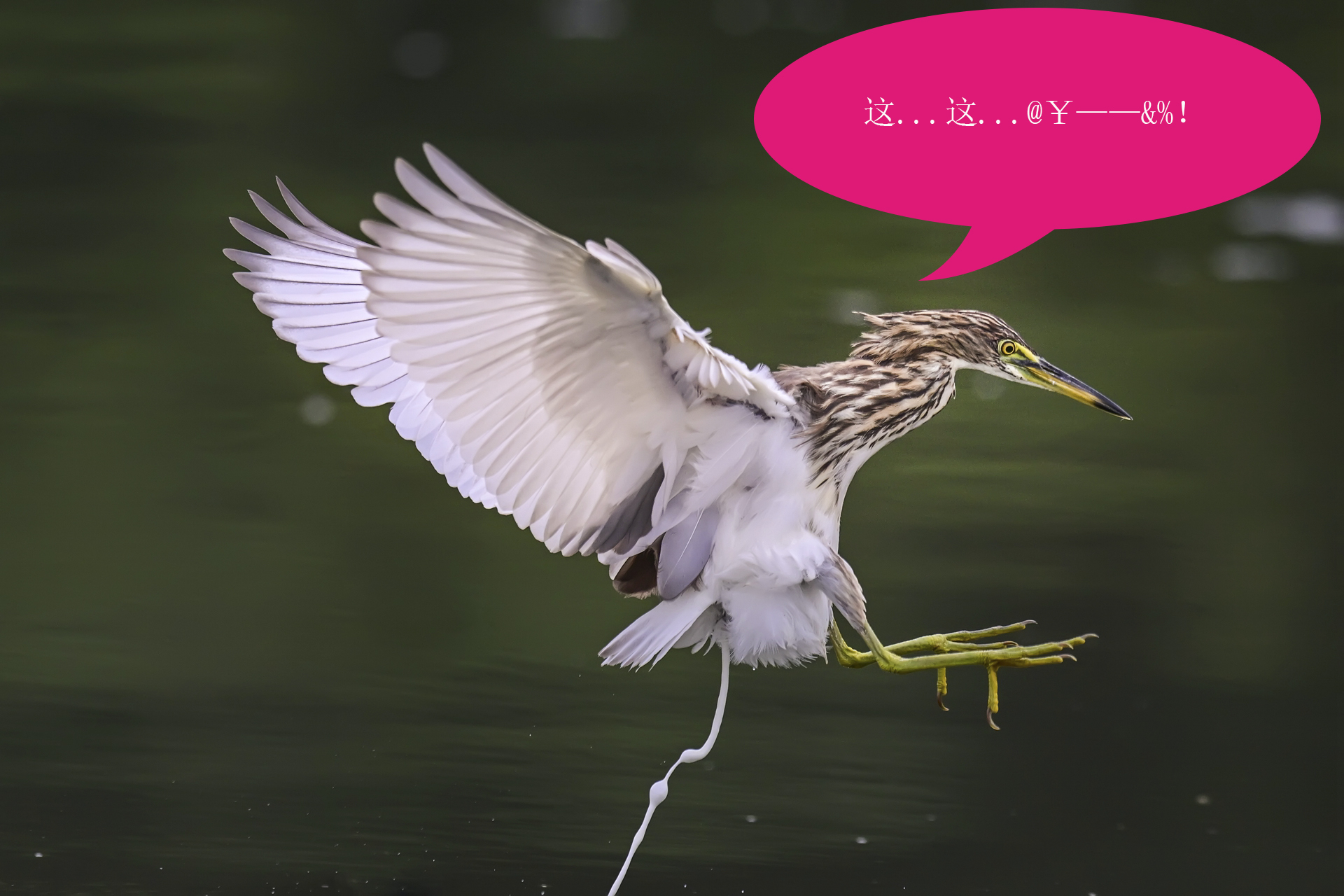 唉呀妈呀快闪开急急急 (4).jpg