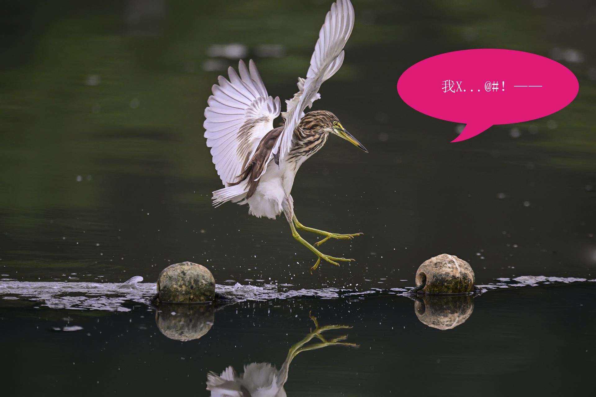 唉呀妈呀快闪开急急急 (7).jpg