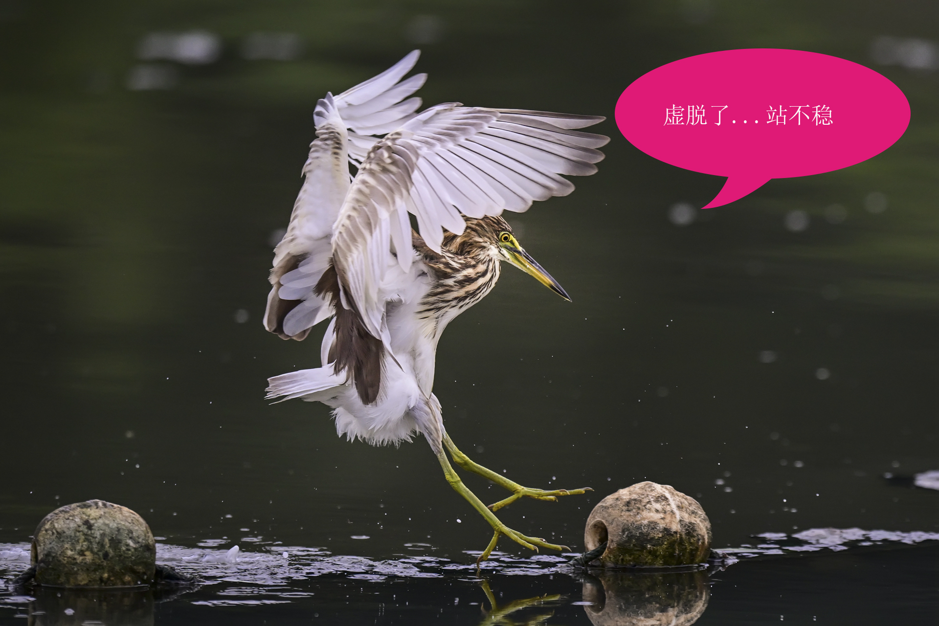 唉呀妈呀快闪开急急急 (8).jpg