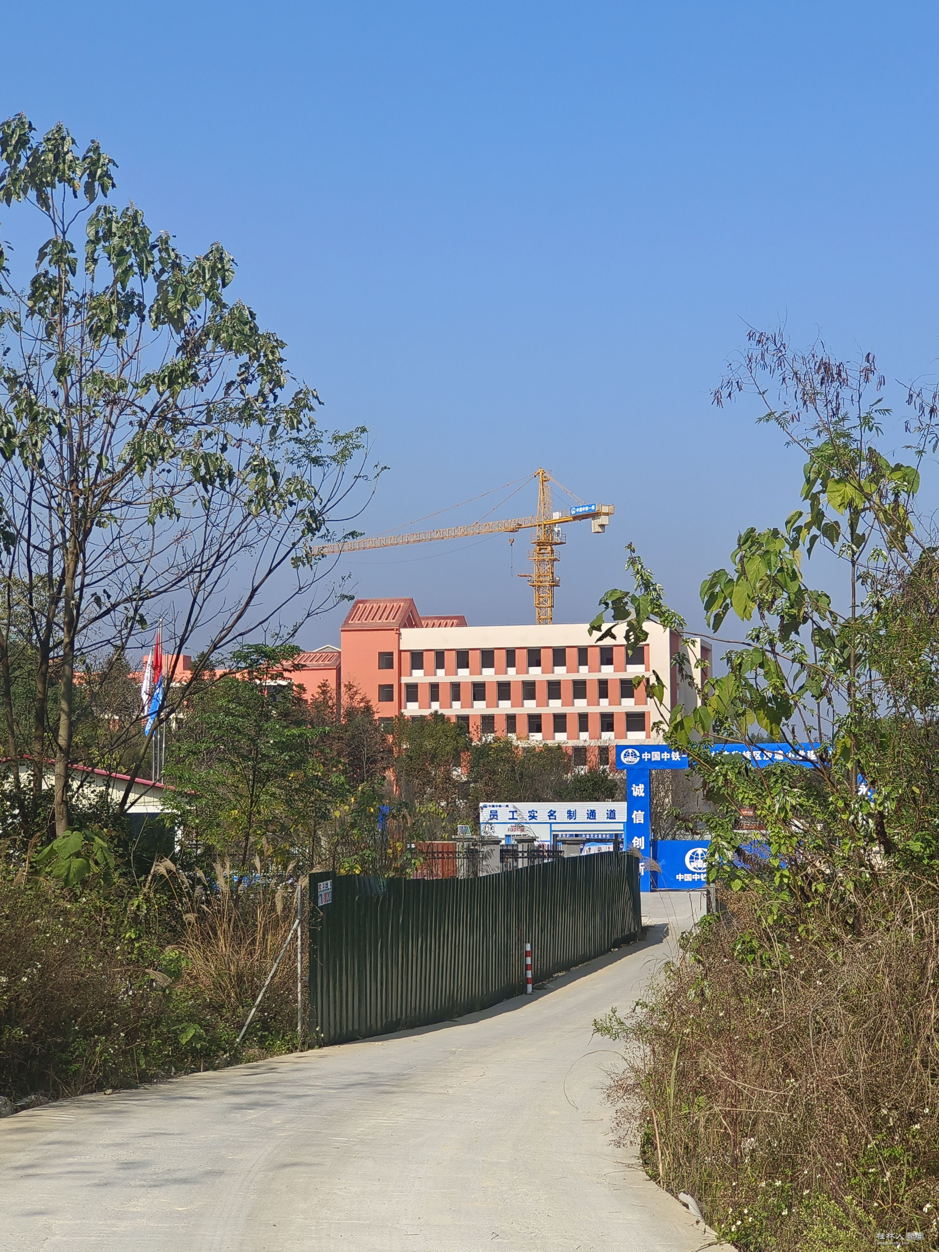 通往学校的水泥路