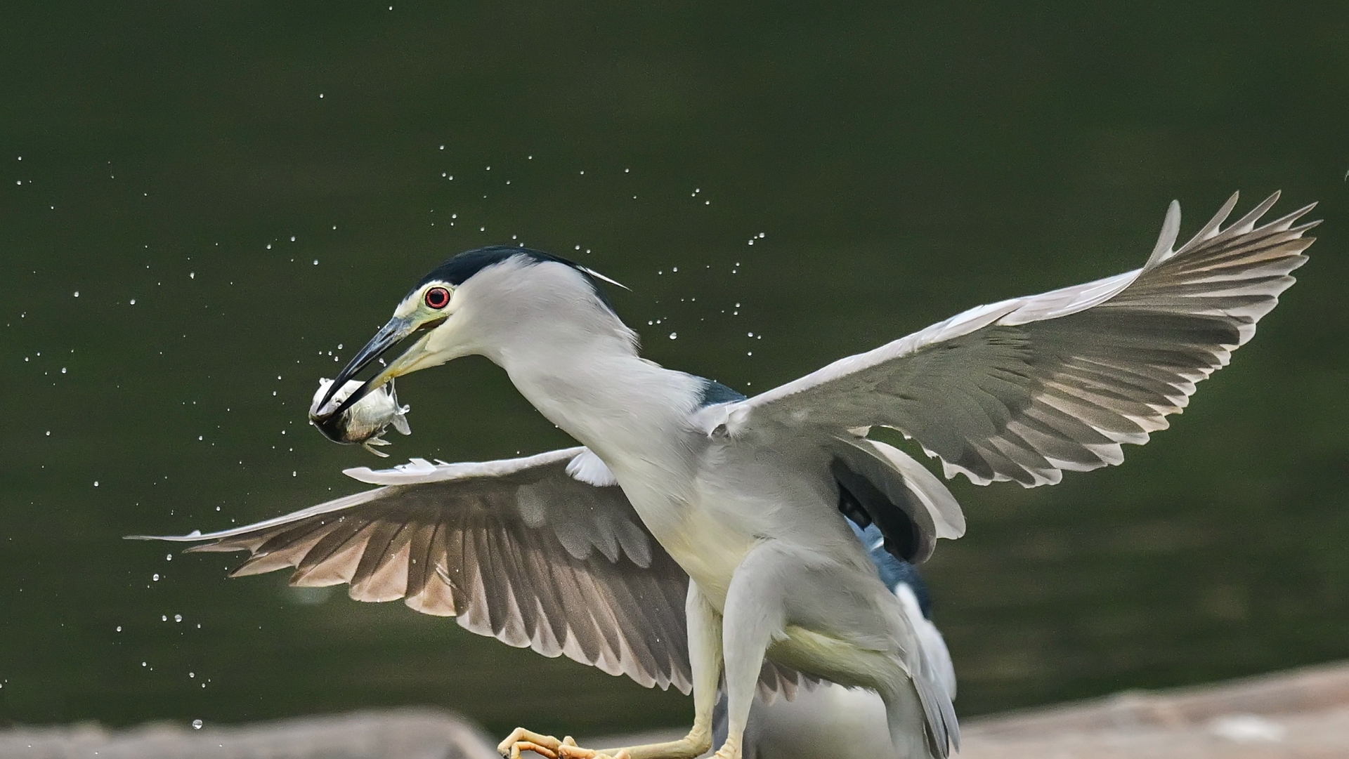 夜师傅干饭 (2).jpg
