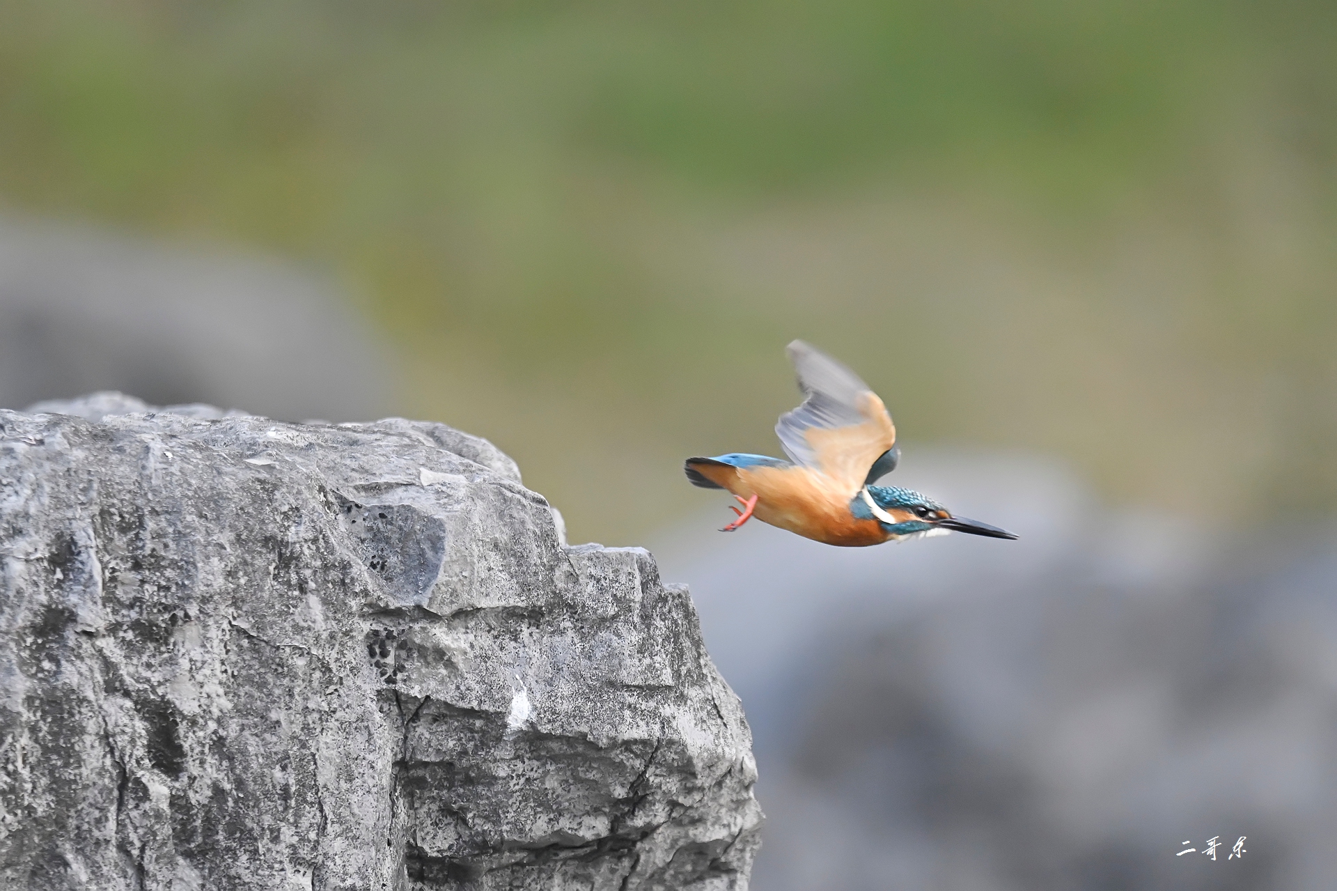 小翠起飞瞬间连拍 (10).jpg