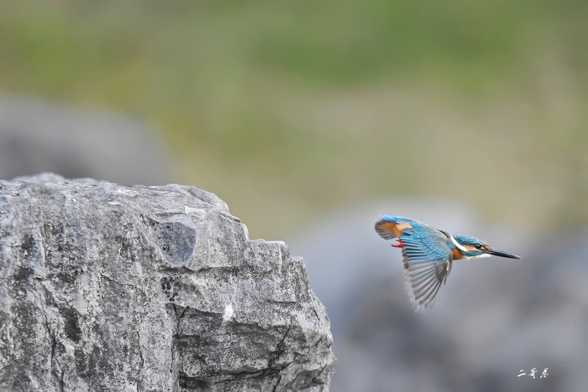小翠起飞瞬间连拍 (12).jpg