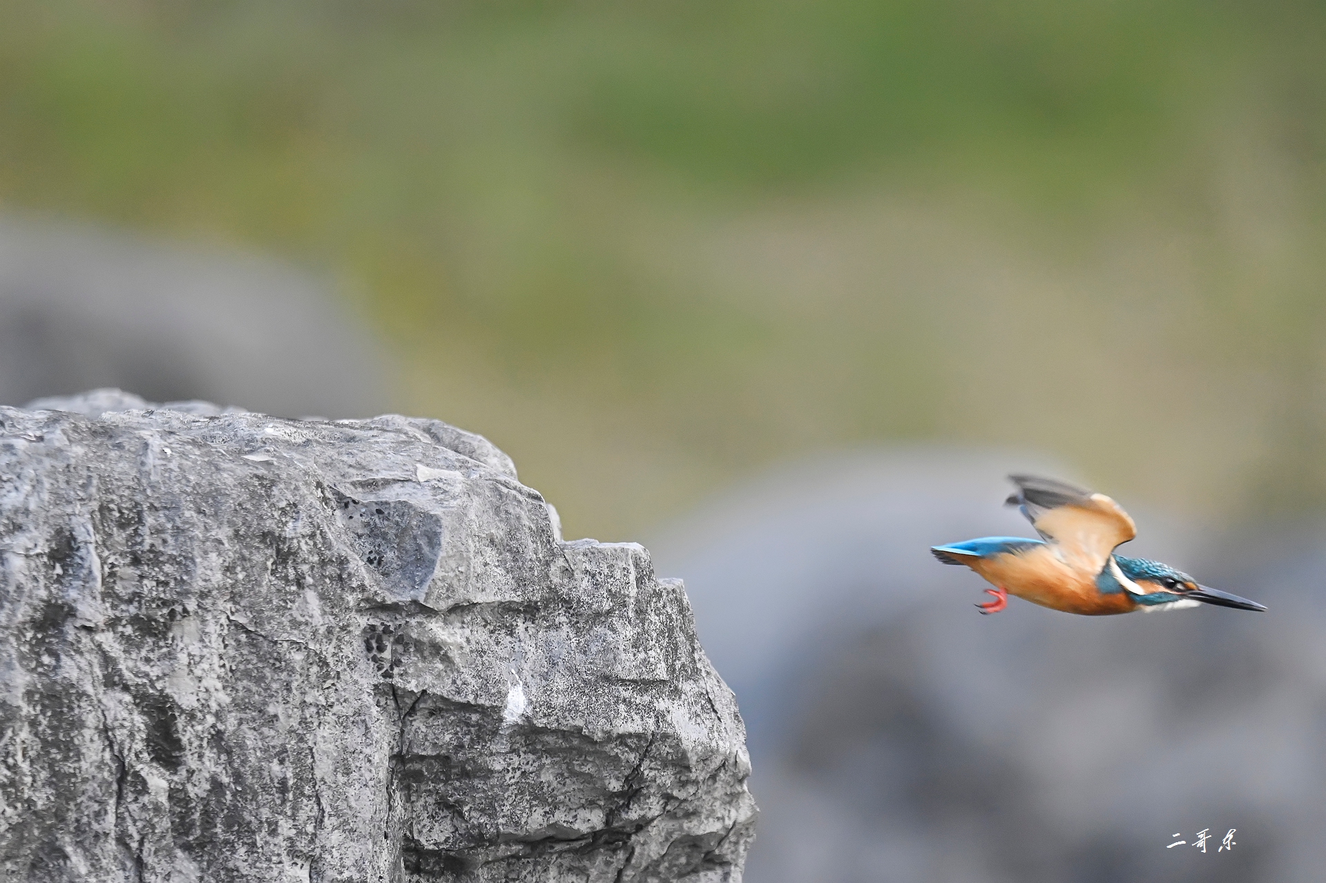 小翠起飞瞬间连拍 (13).jpg
