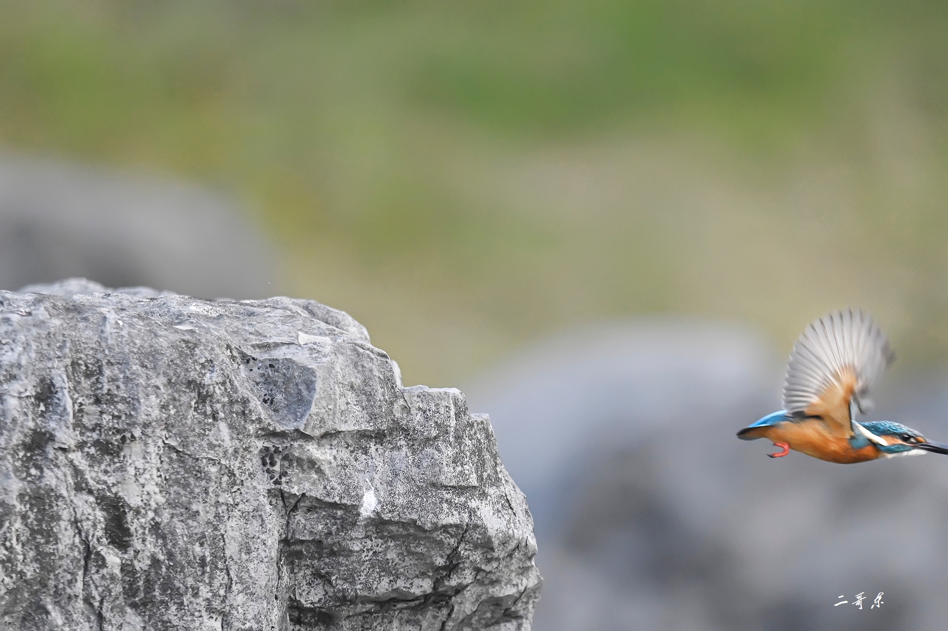 小翠起飞瞬间连拍 (14).jpg