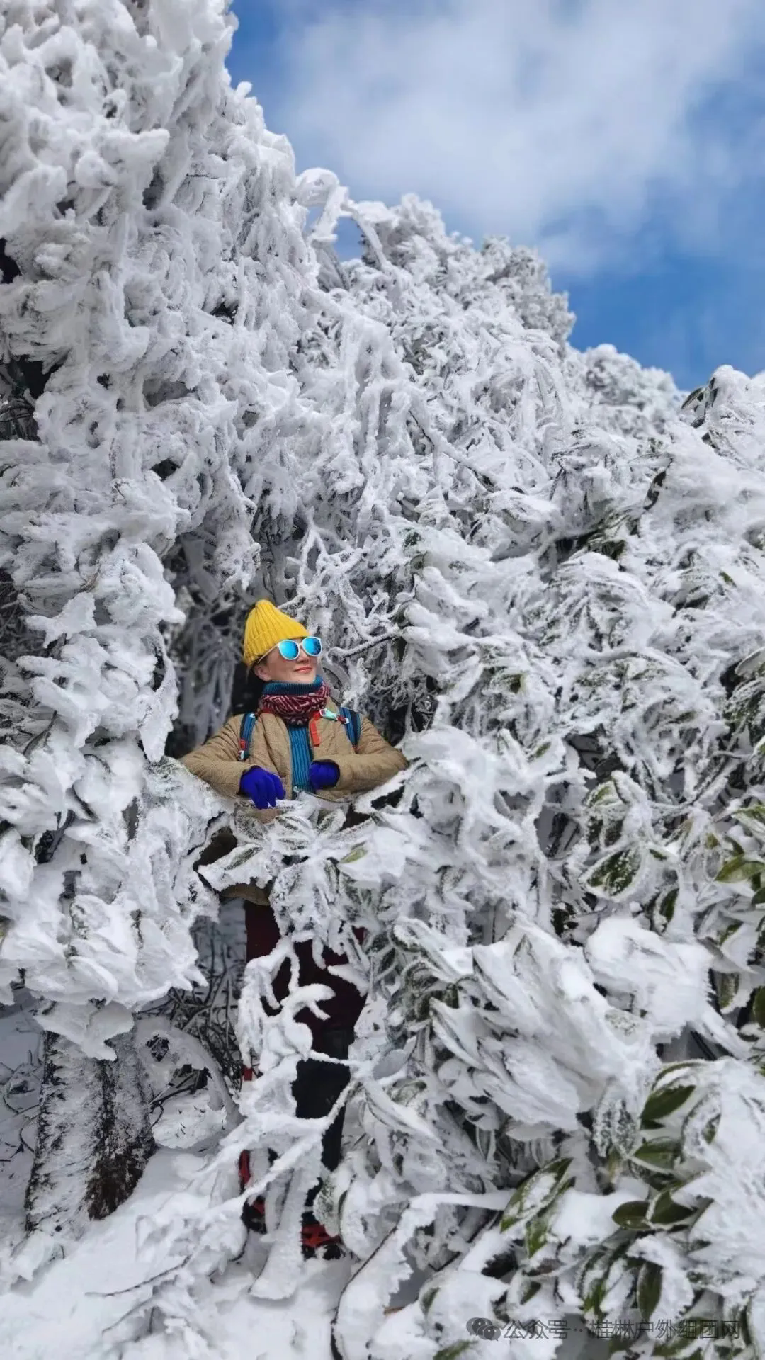 640 (1).webp (1).png