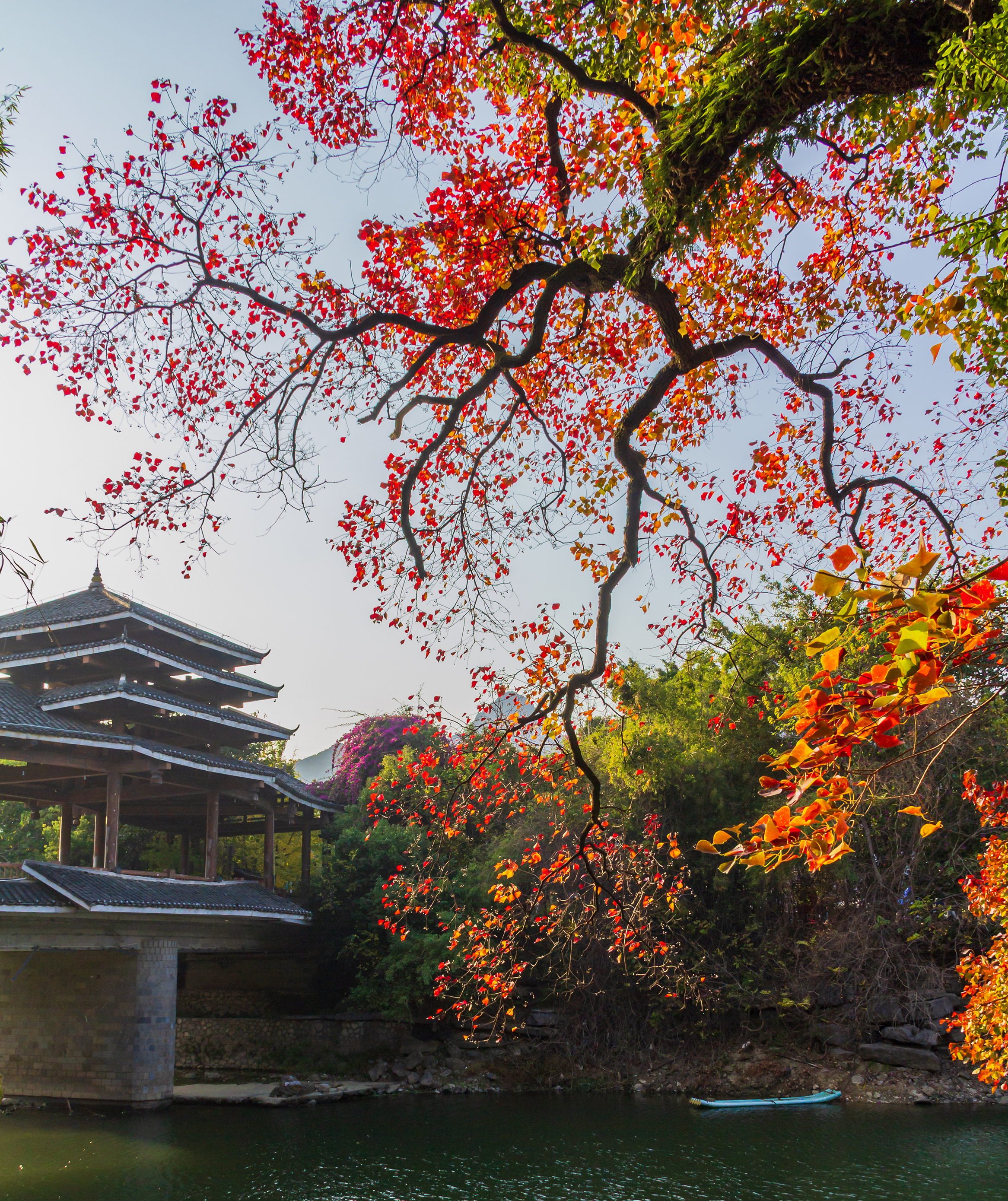 235940w4p2pc3morc9c9za.jpg A.jpg