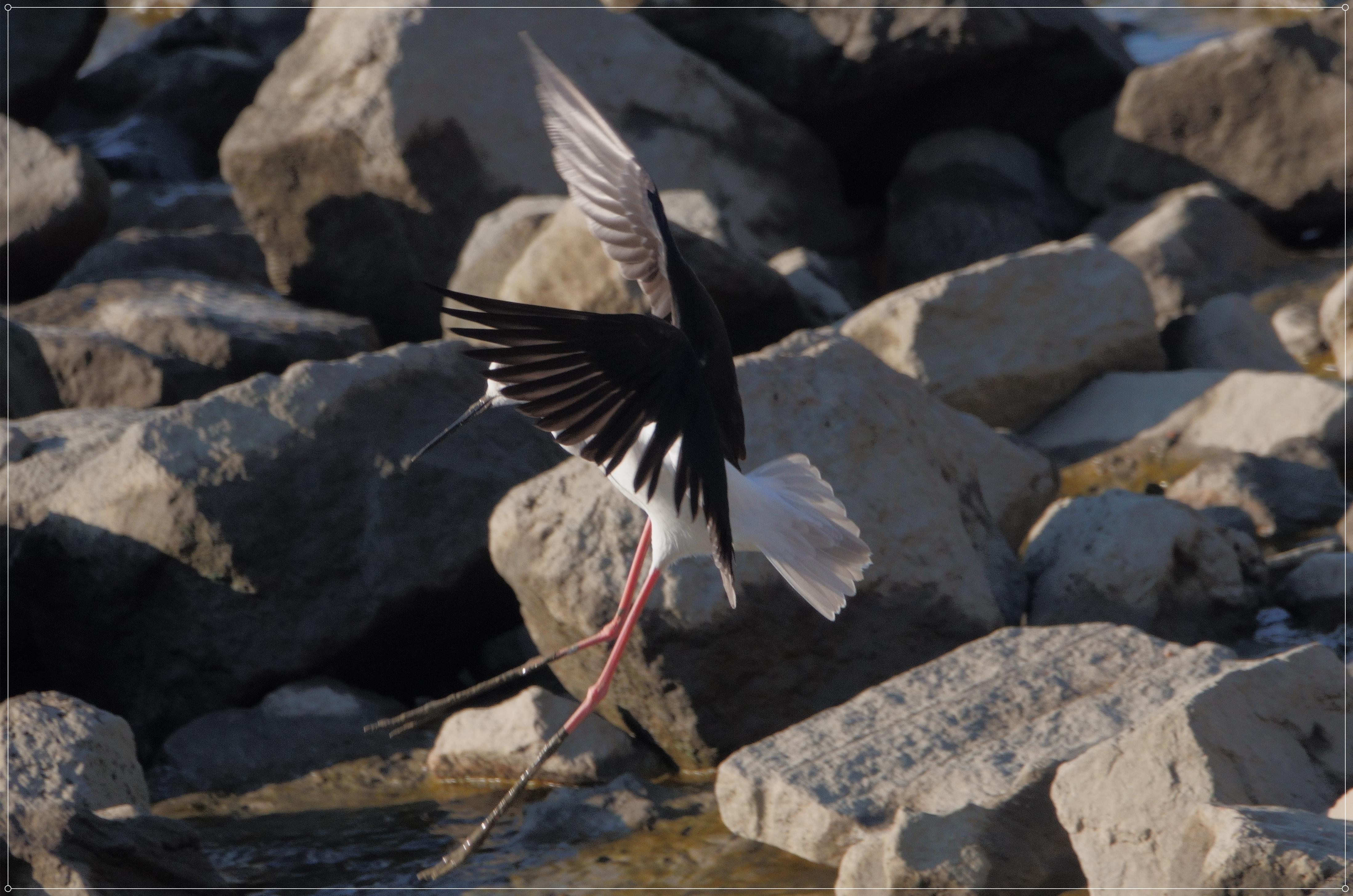 DSC05104 - 副本.JPG