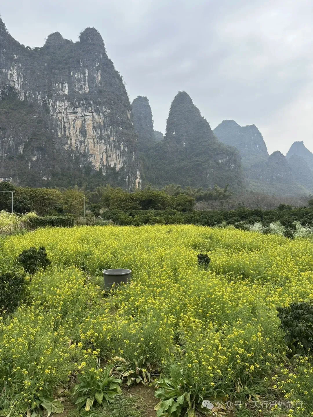 640 (1).webp (4).png