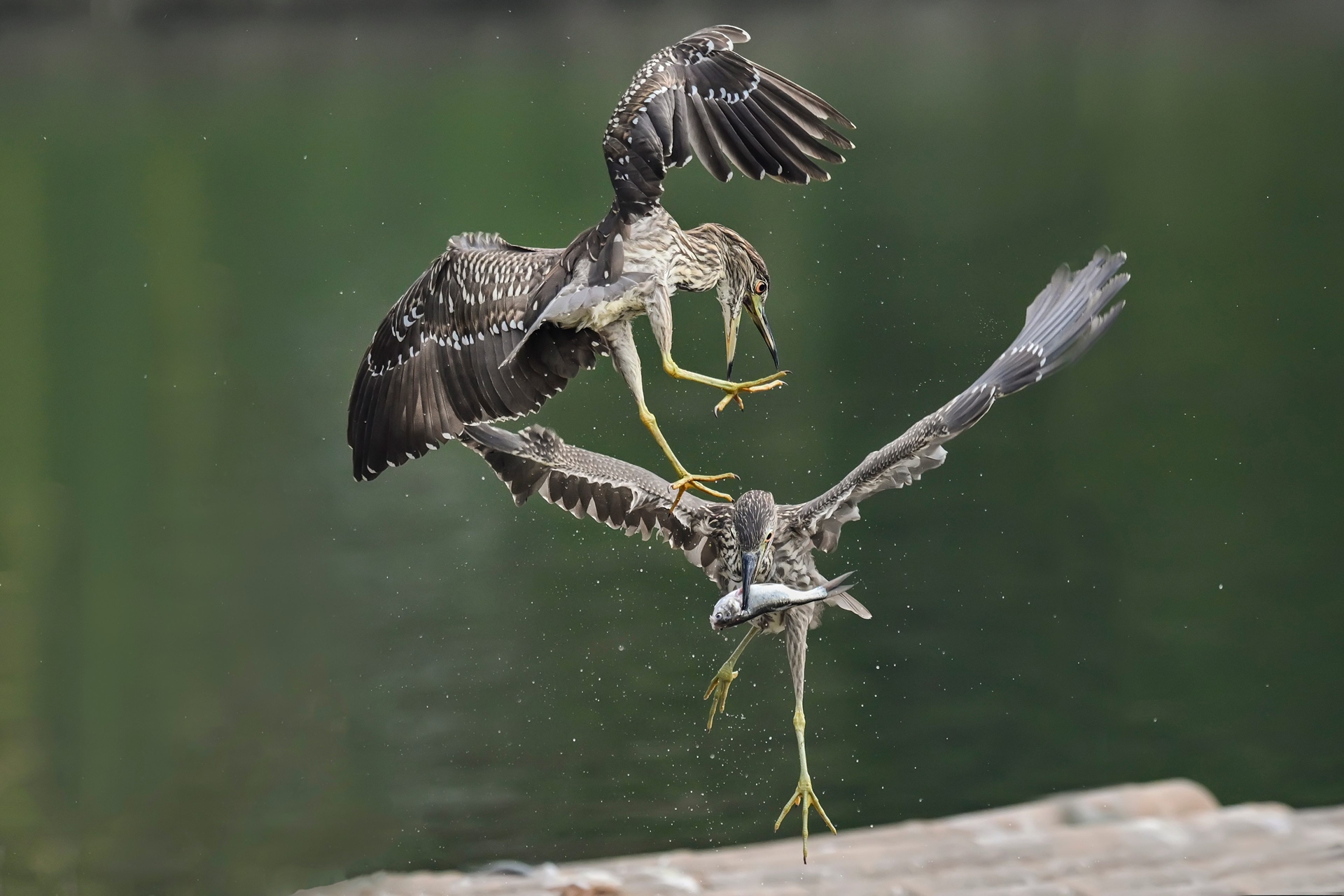 摄影师精华 (3).jpg