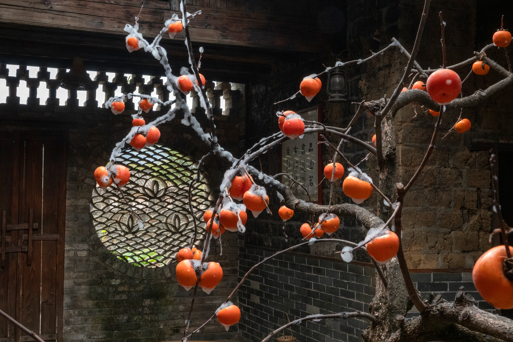 DSC00007-0 - 副本.jpg