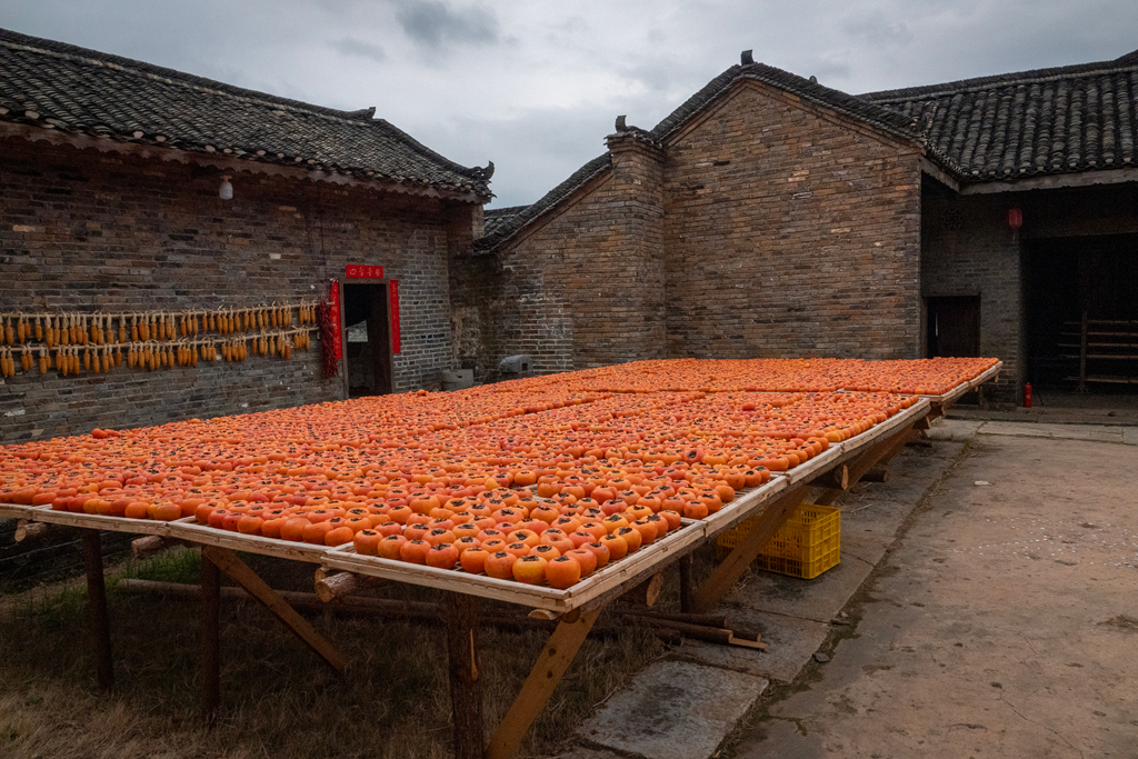 DSC09822-0 - 副本.jpg