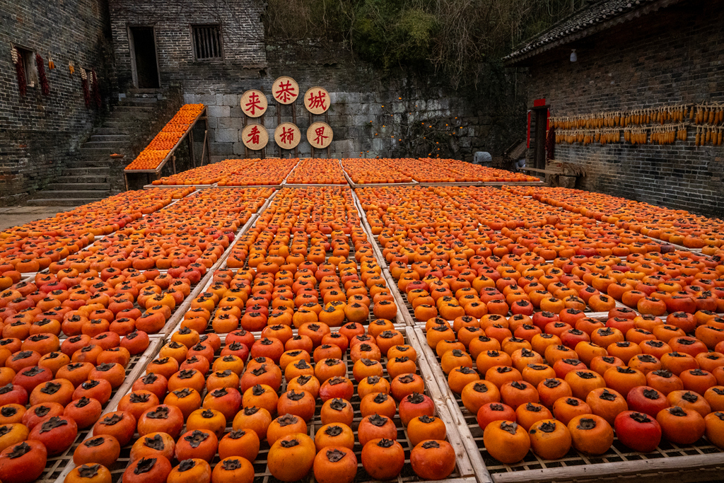 DSC09835-0 - 副本.jpg