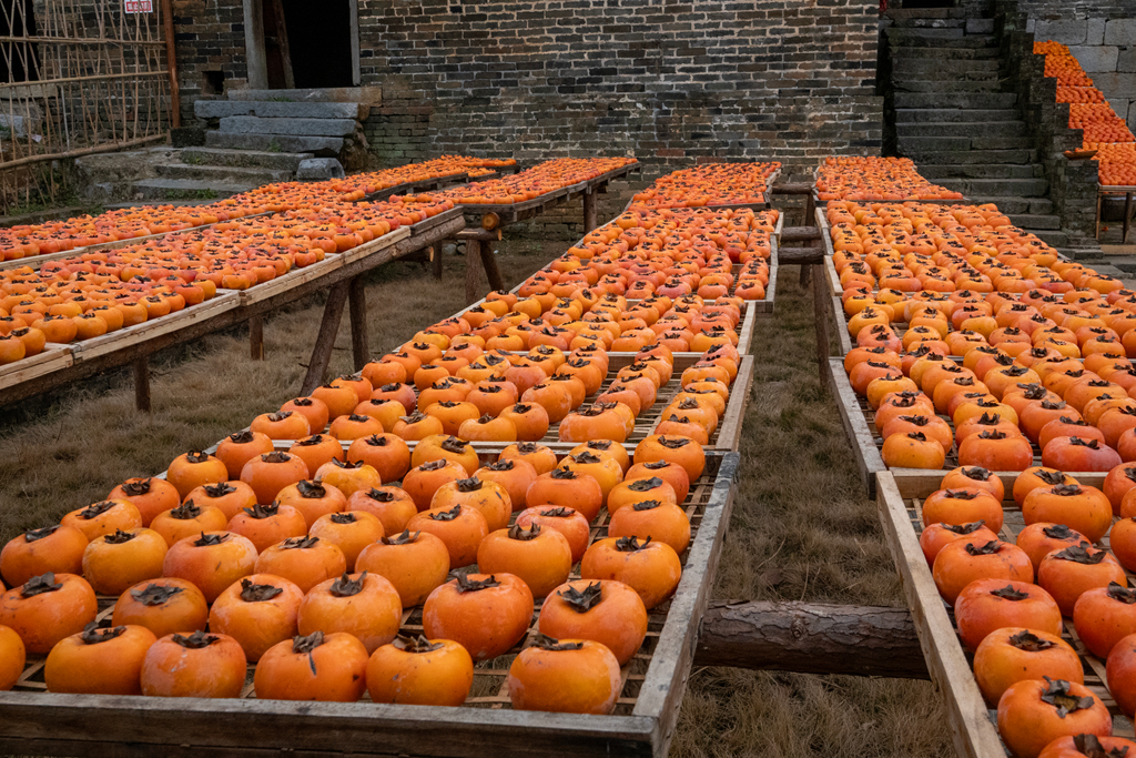 DSC09825-0 - 副本.jpg