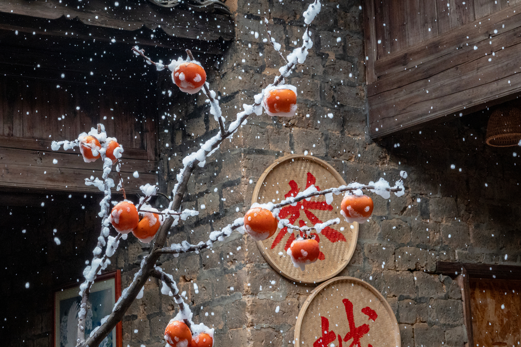 DSC09869-0 - 副本.jpg