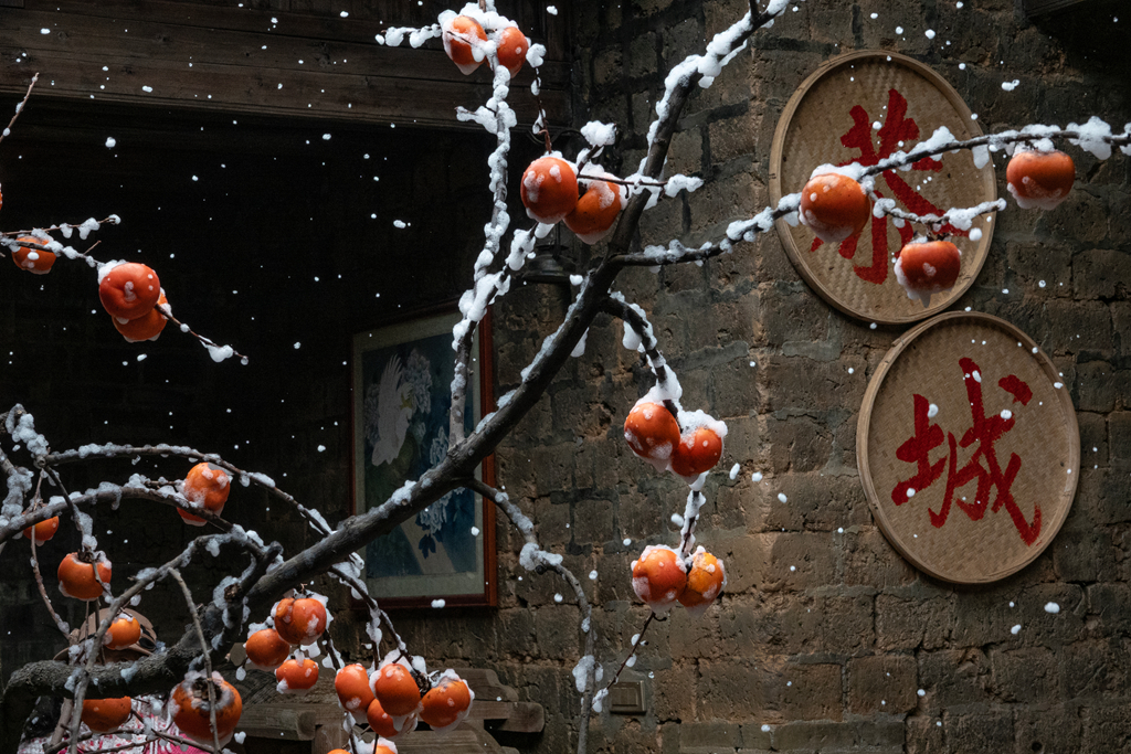 DSC09877-0 - 副本.jpg