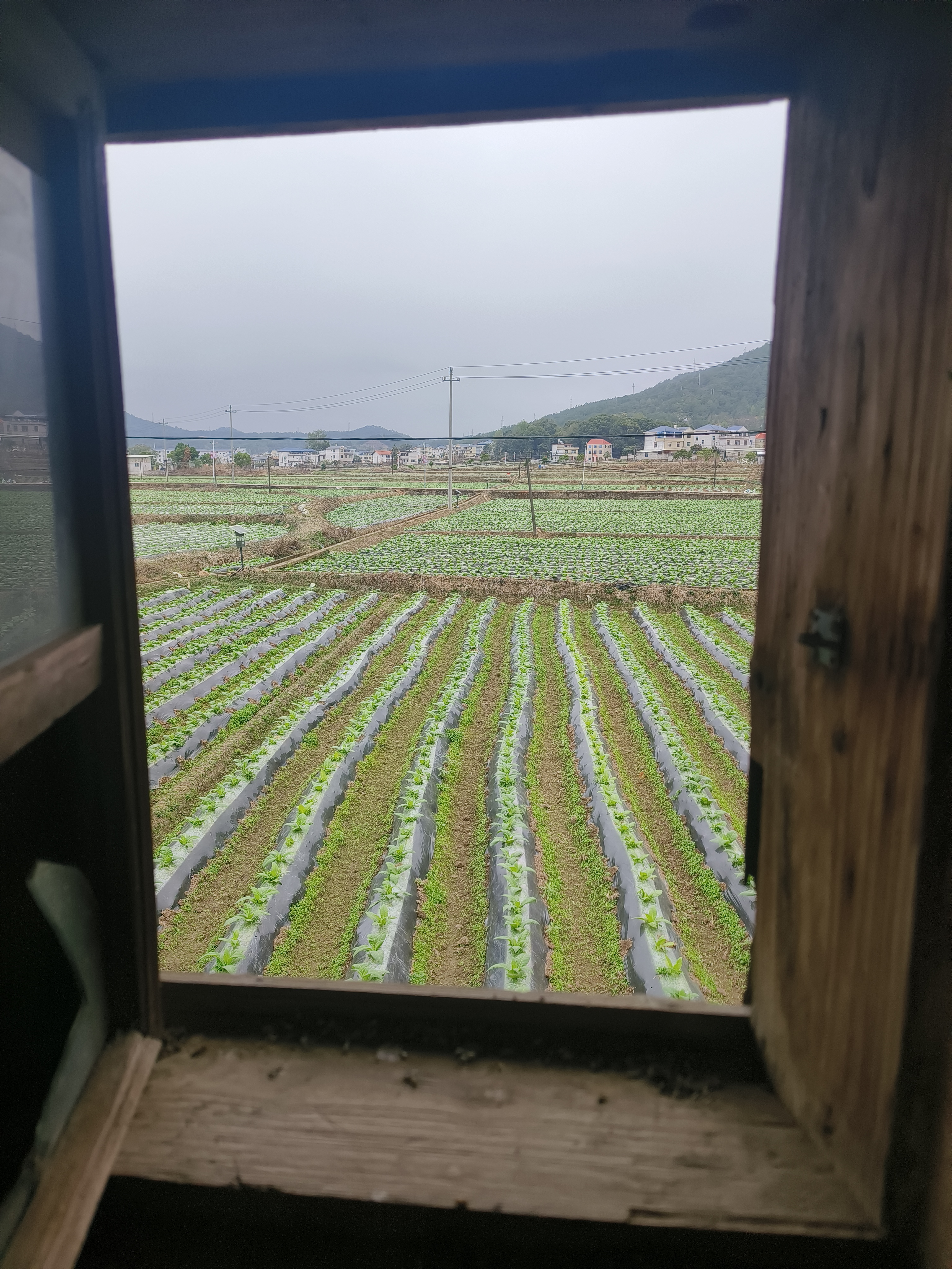 二楼窗户眺望的世界