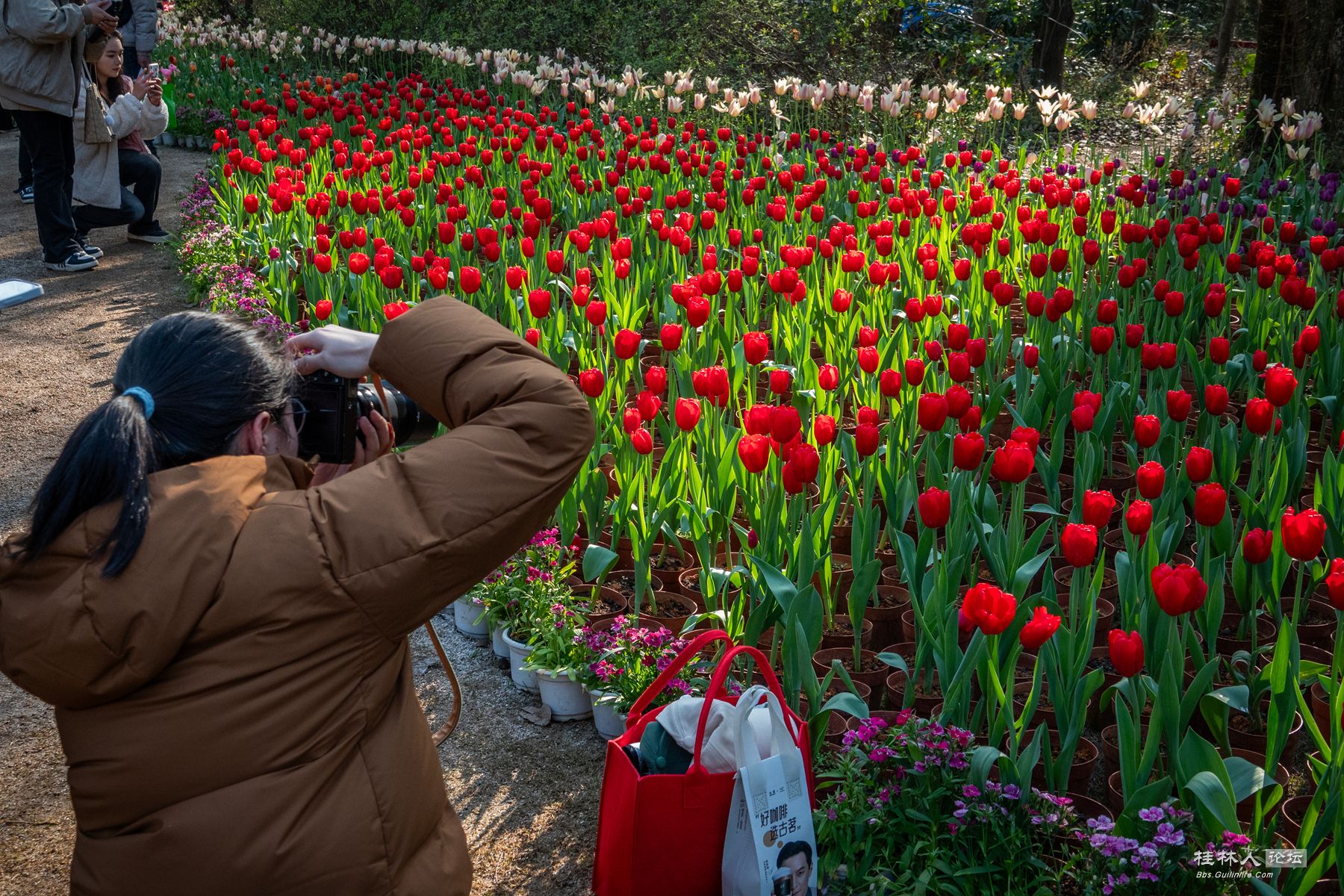 DSC00555-0 - 副本.jpg