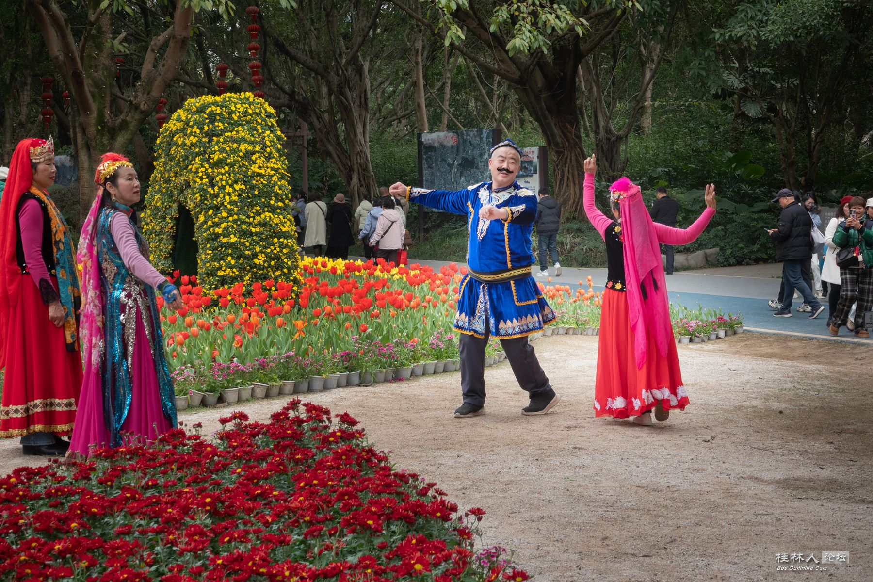 DSC00420-0 - 副本.jpg