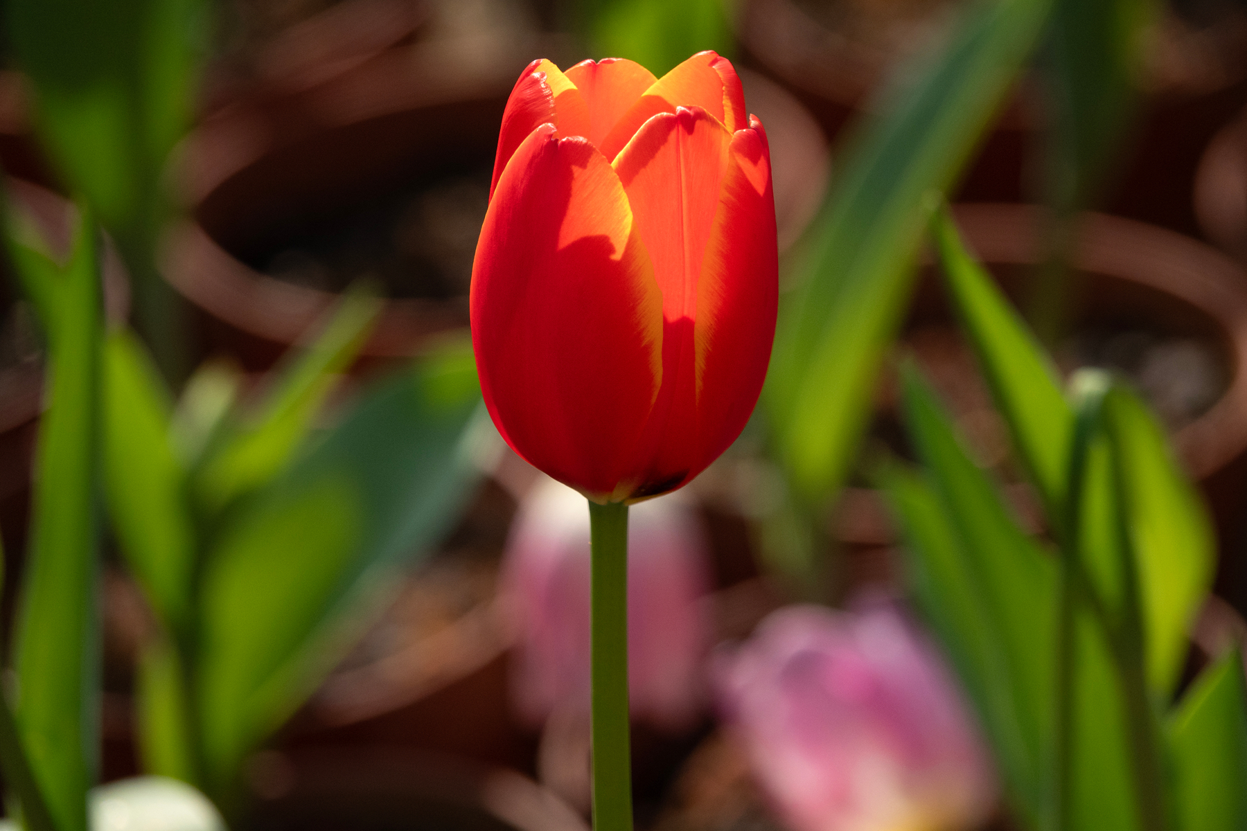 DSC00480-0 - 副本.jpg