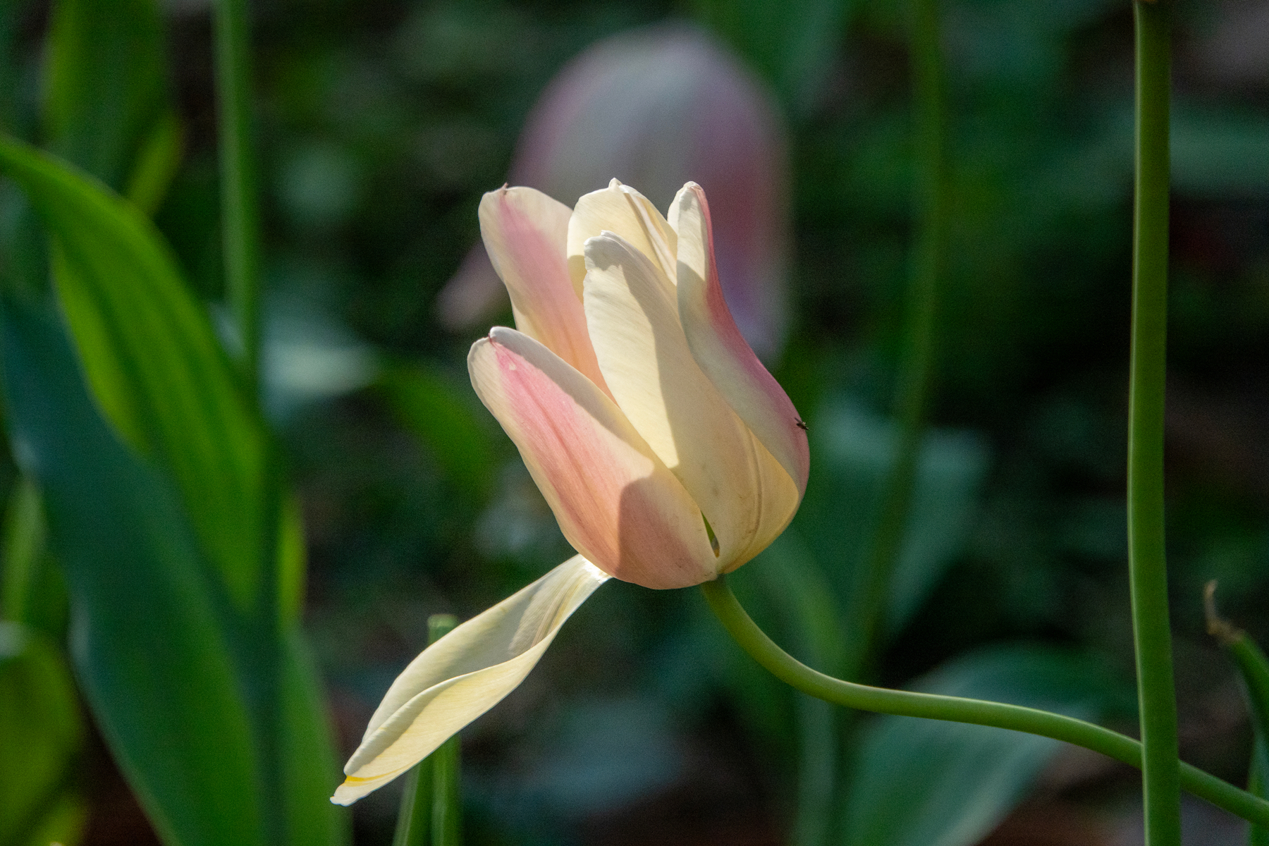 DSC00540-0 - 副本.jpg