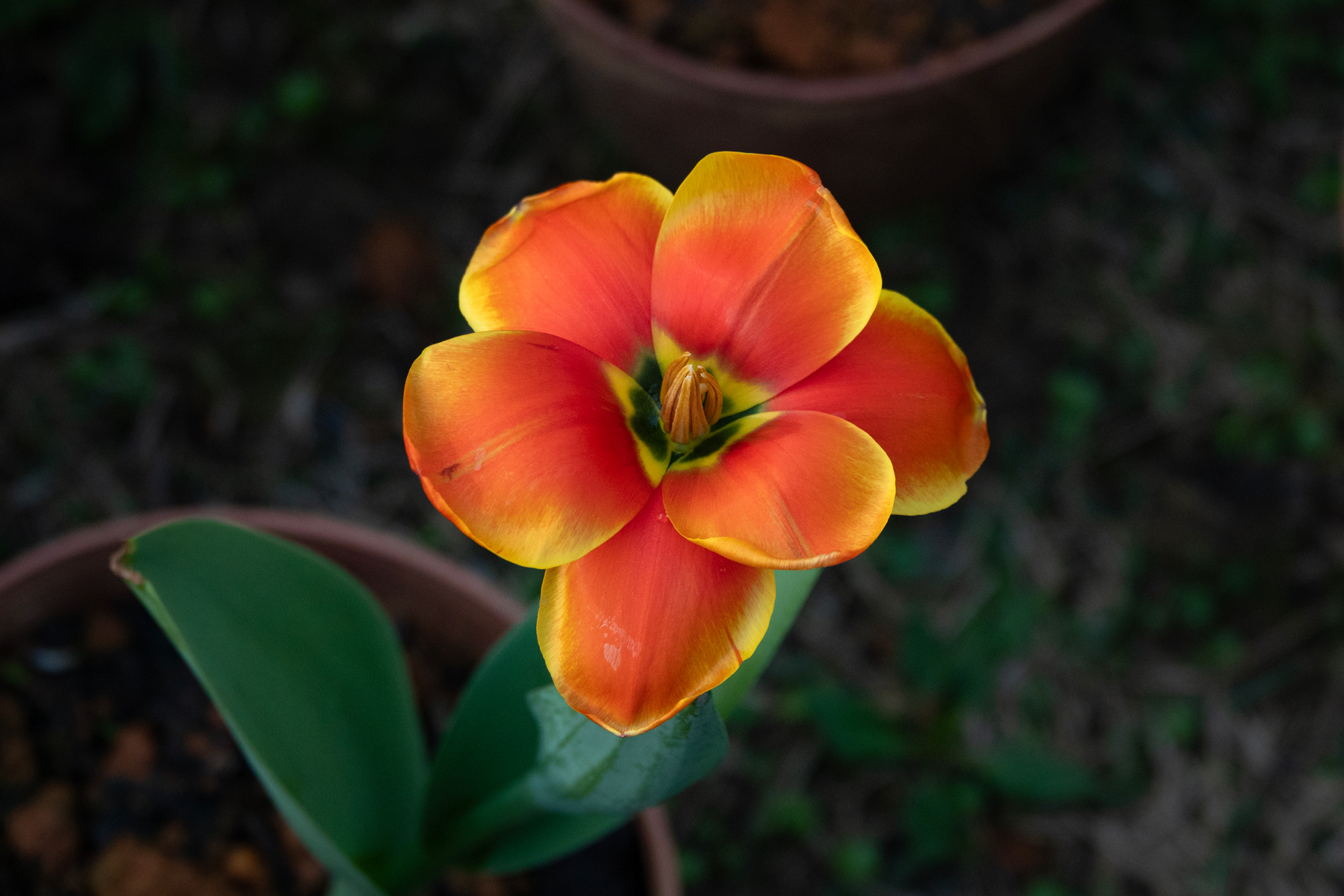 DSC00549-0 - 副本.jpg