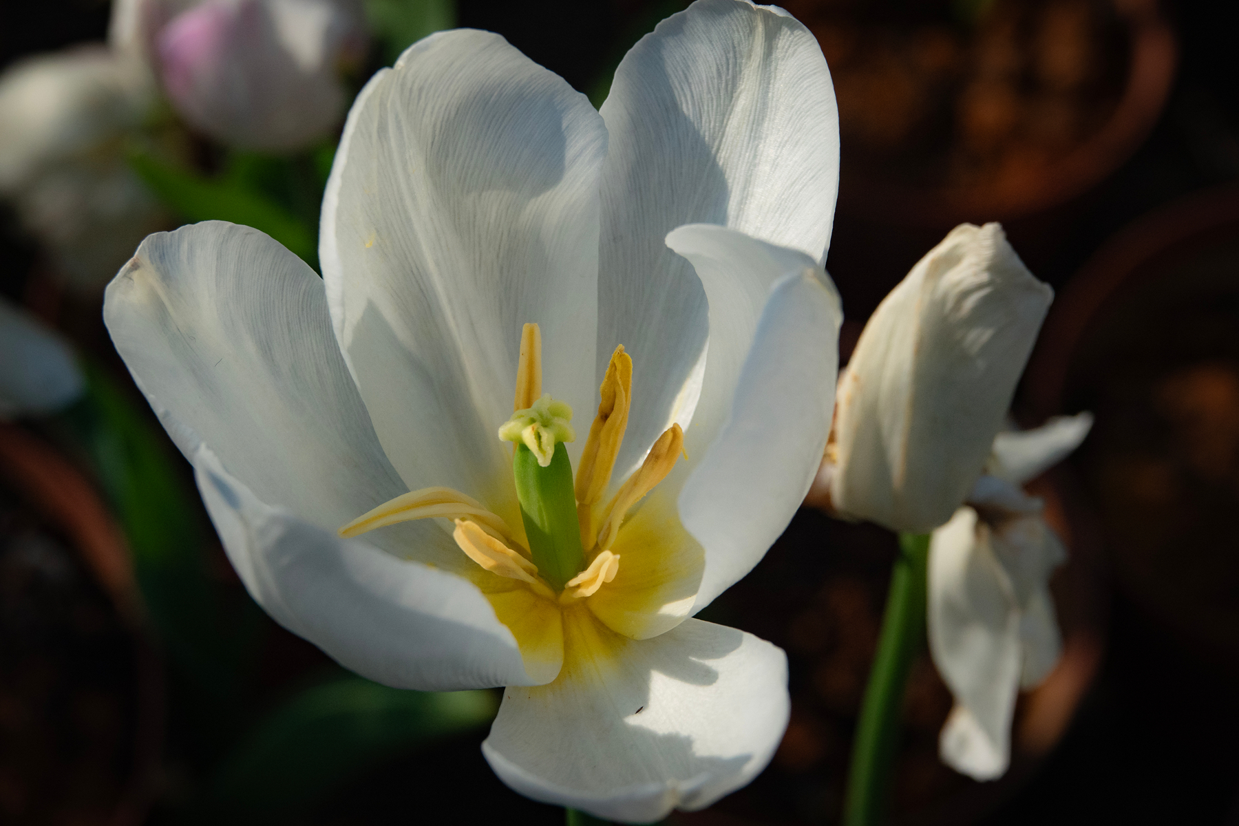 DSC00603-0 - 副本.jpg