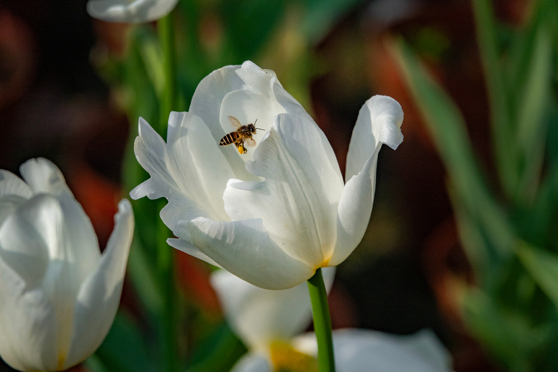 DSC00614-0 - 副本.jpg