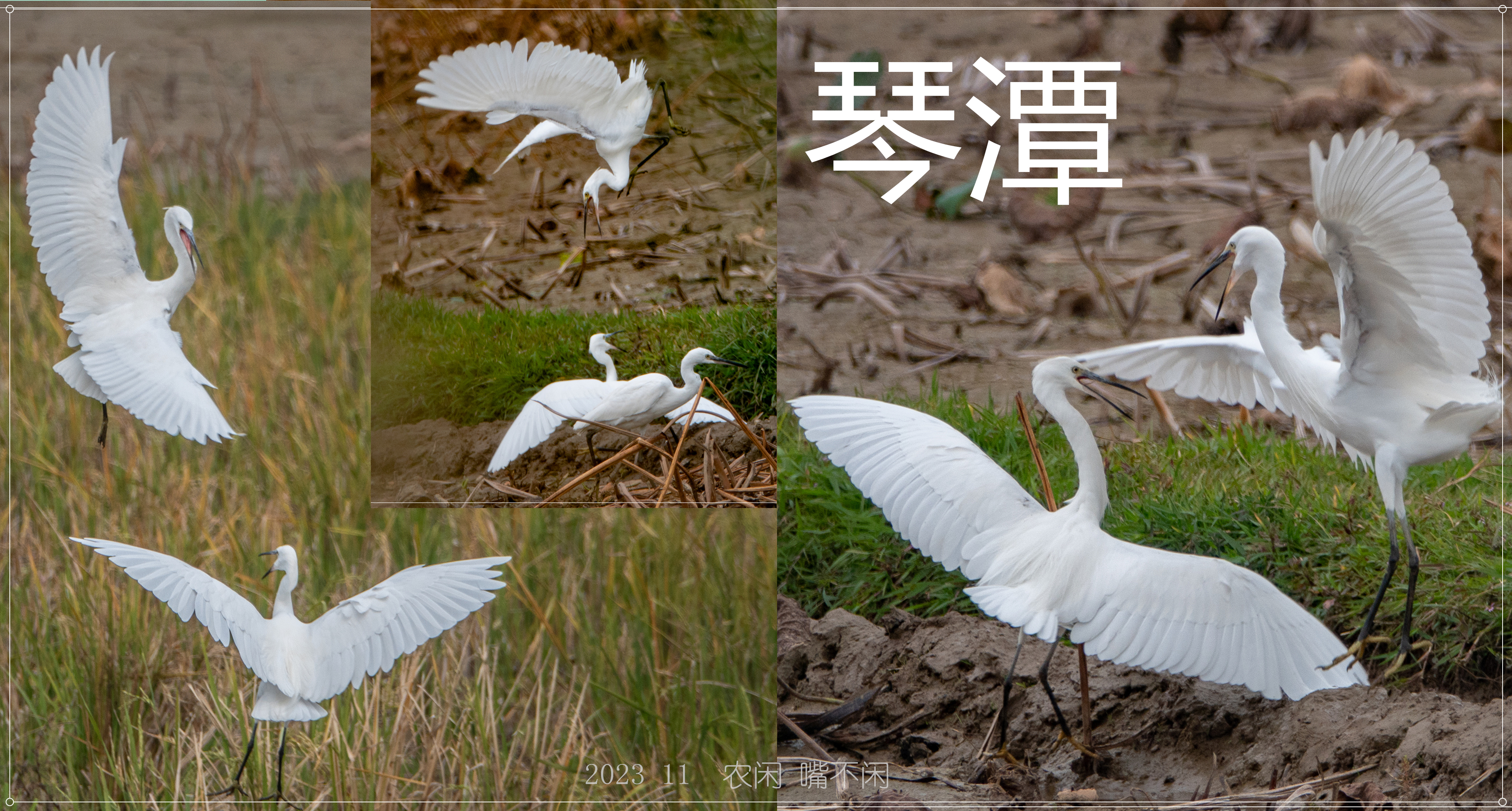 农闲 嘴不闲_副本.jpg