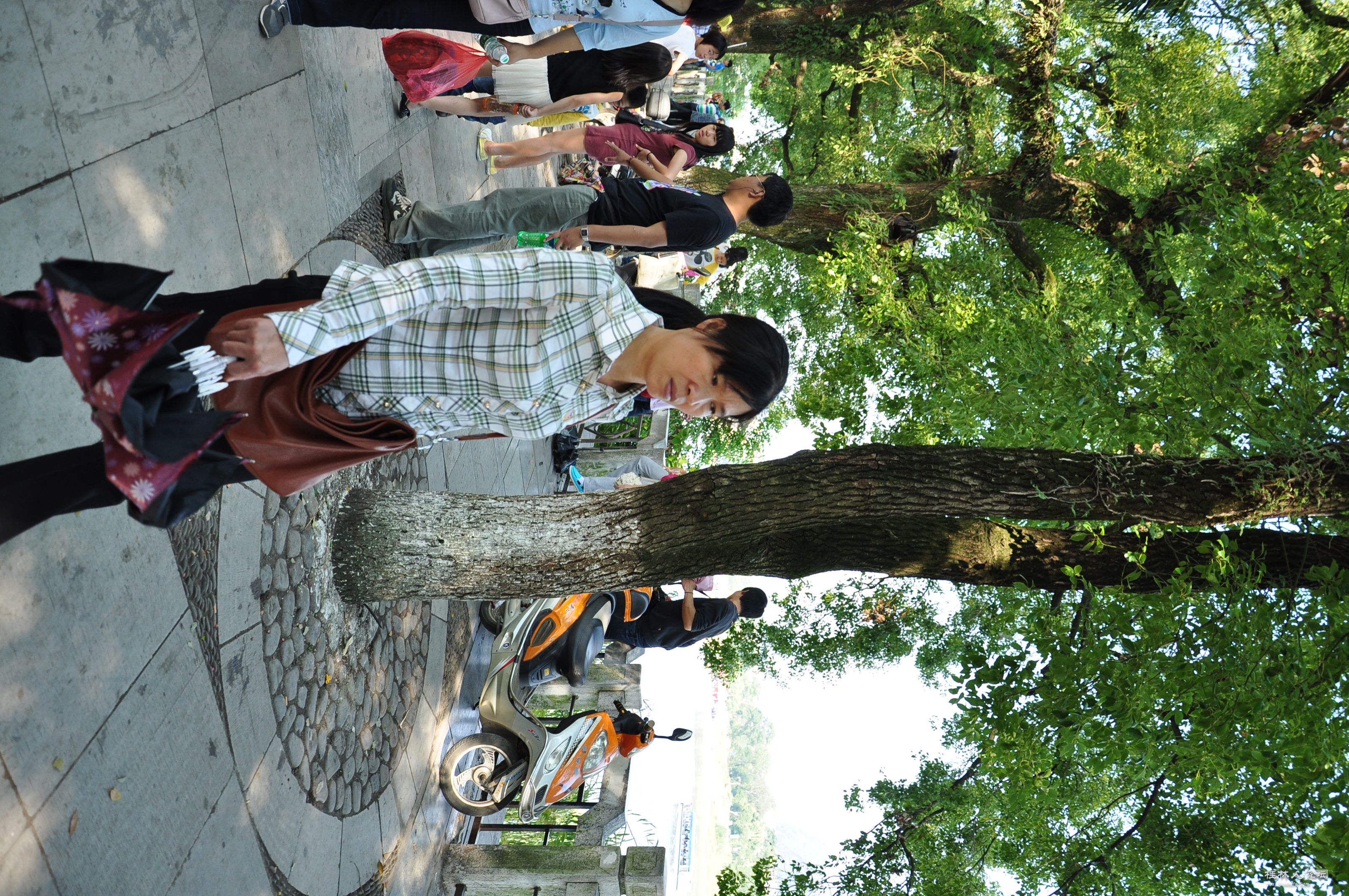 DSC_0732 - 副本.JPG