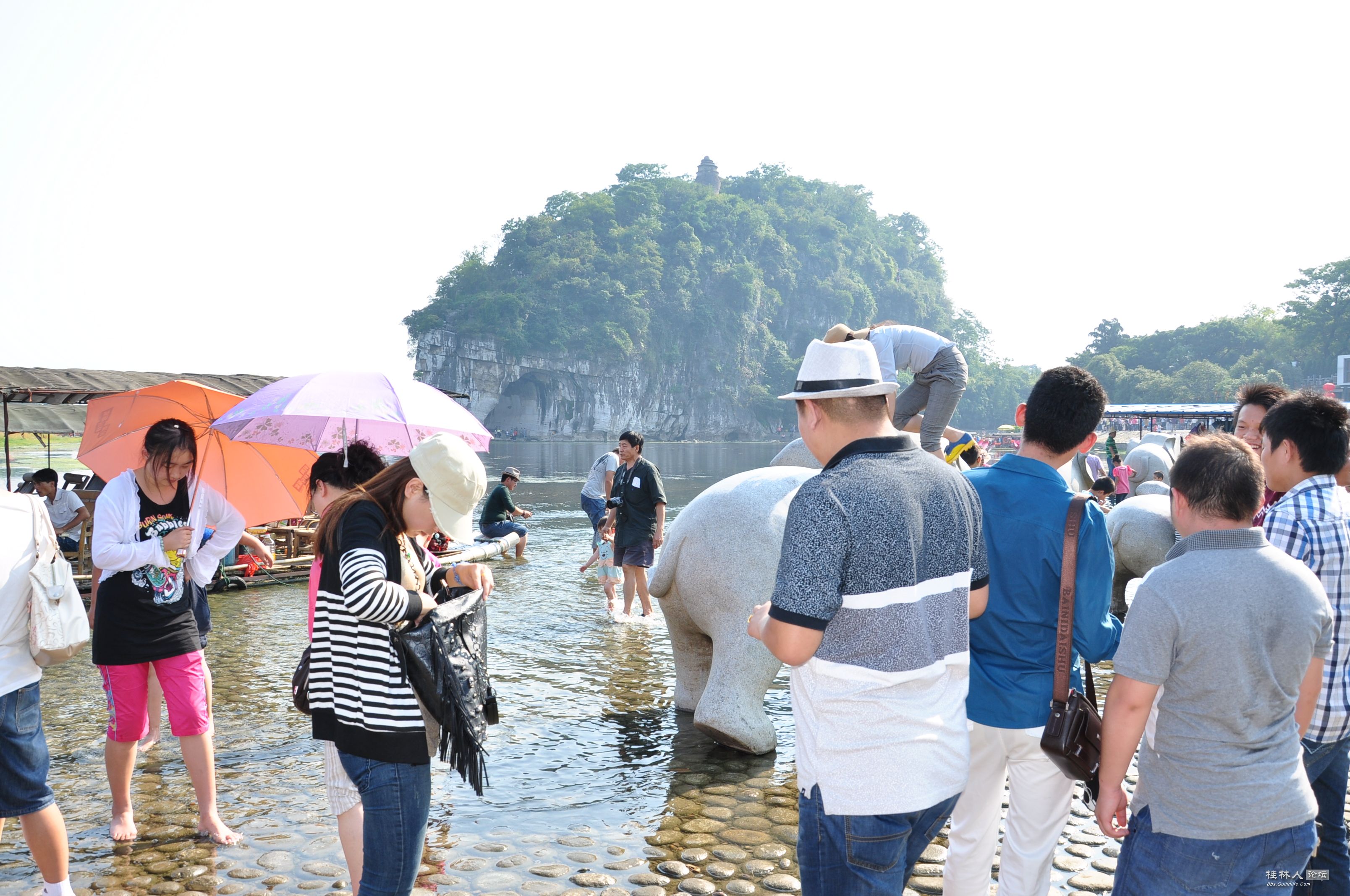 DSC_0751 - 副本.JPG