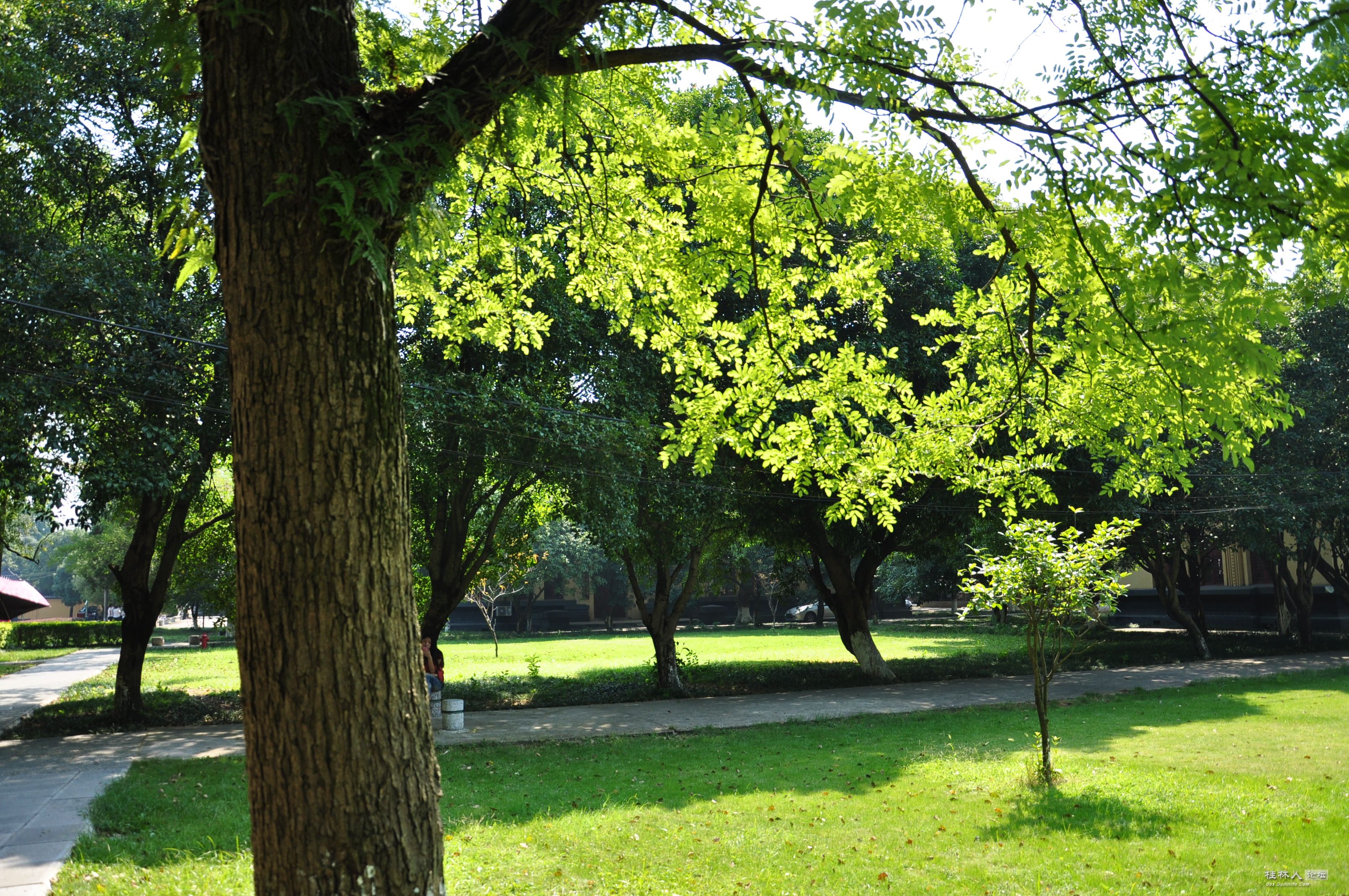 DSC_0693 - 副本.JPG