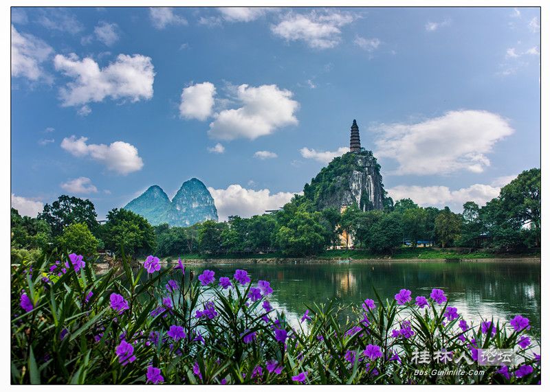 DSC07595 _副本.jpg