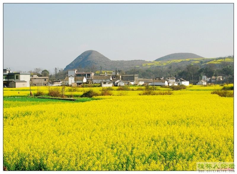 [原创]桂林市朱氏宗亲祭祀靖江王祖陵