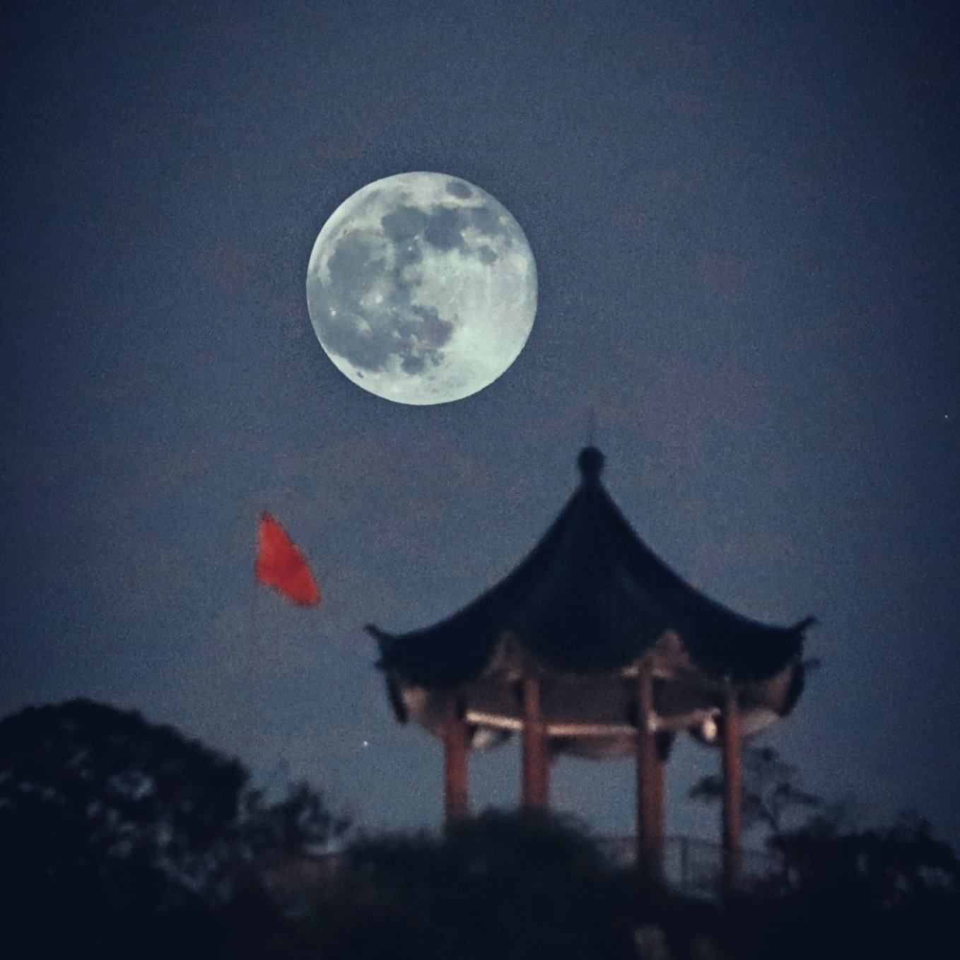 ժͤ