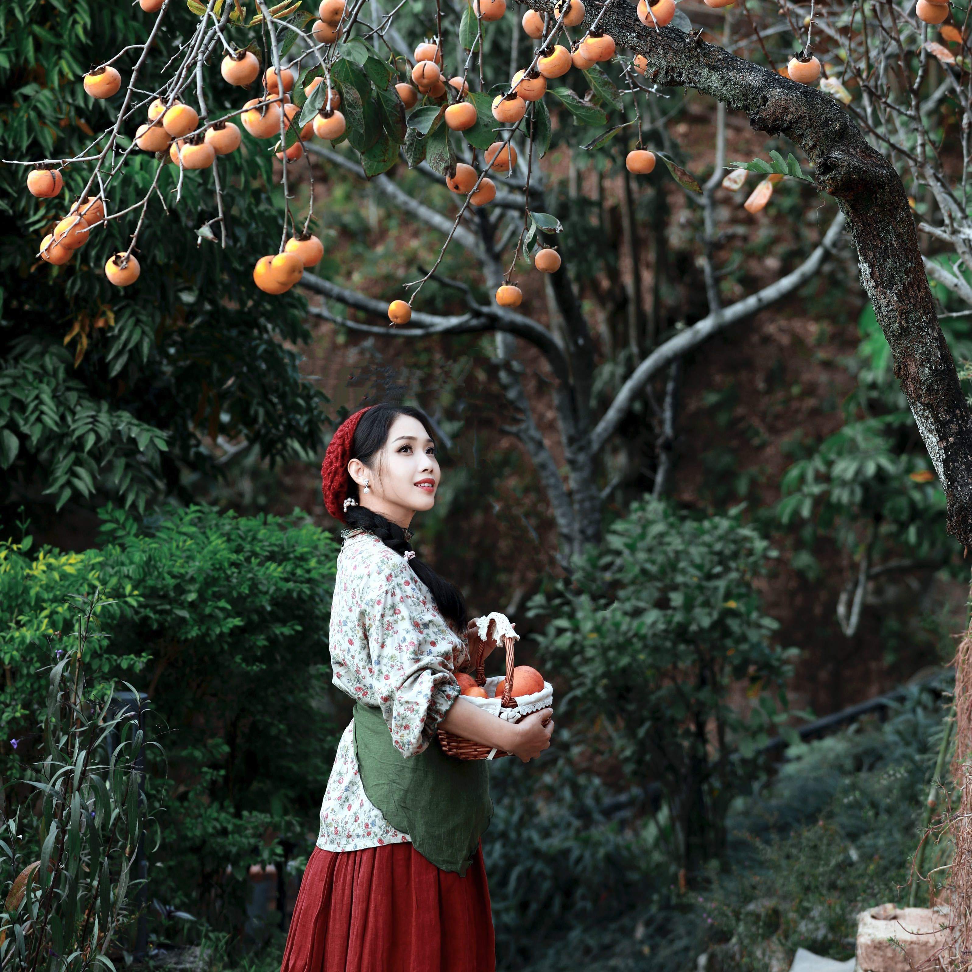 柿子丰收的季节